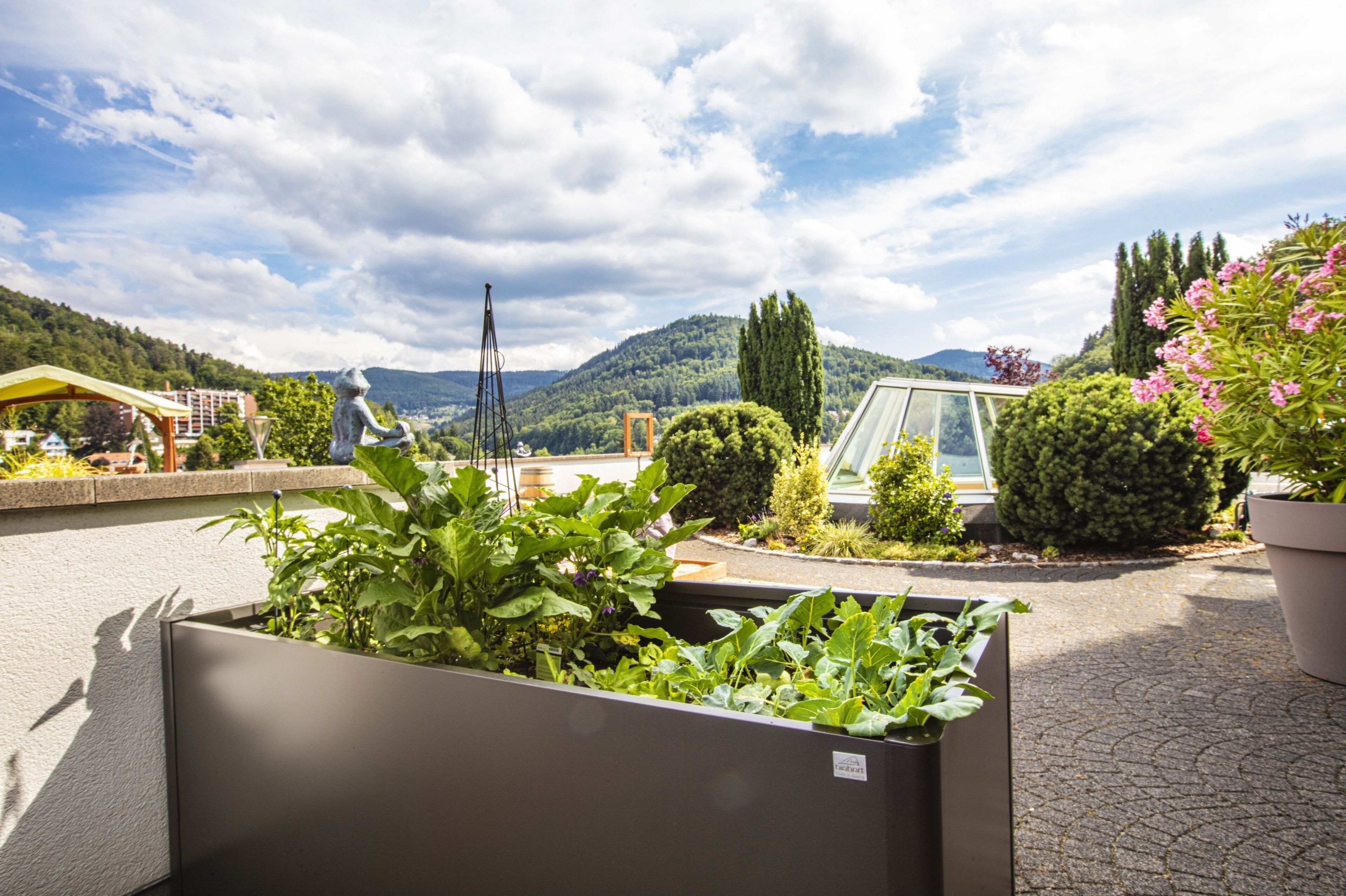 A rooftop garden with potted plants, a metal sculpture, and a glass greenhouse structure.