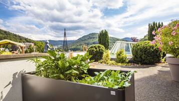 A rooftop garden with potted plants, a metal sculpture, and a glass greenhouse structure.