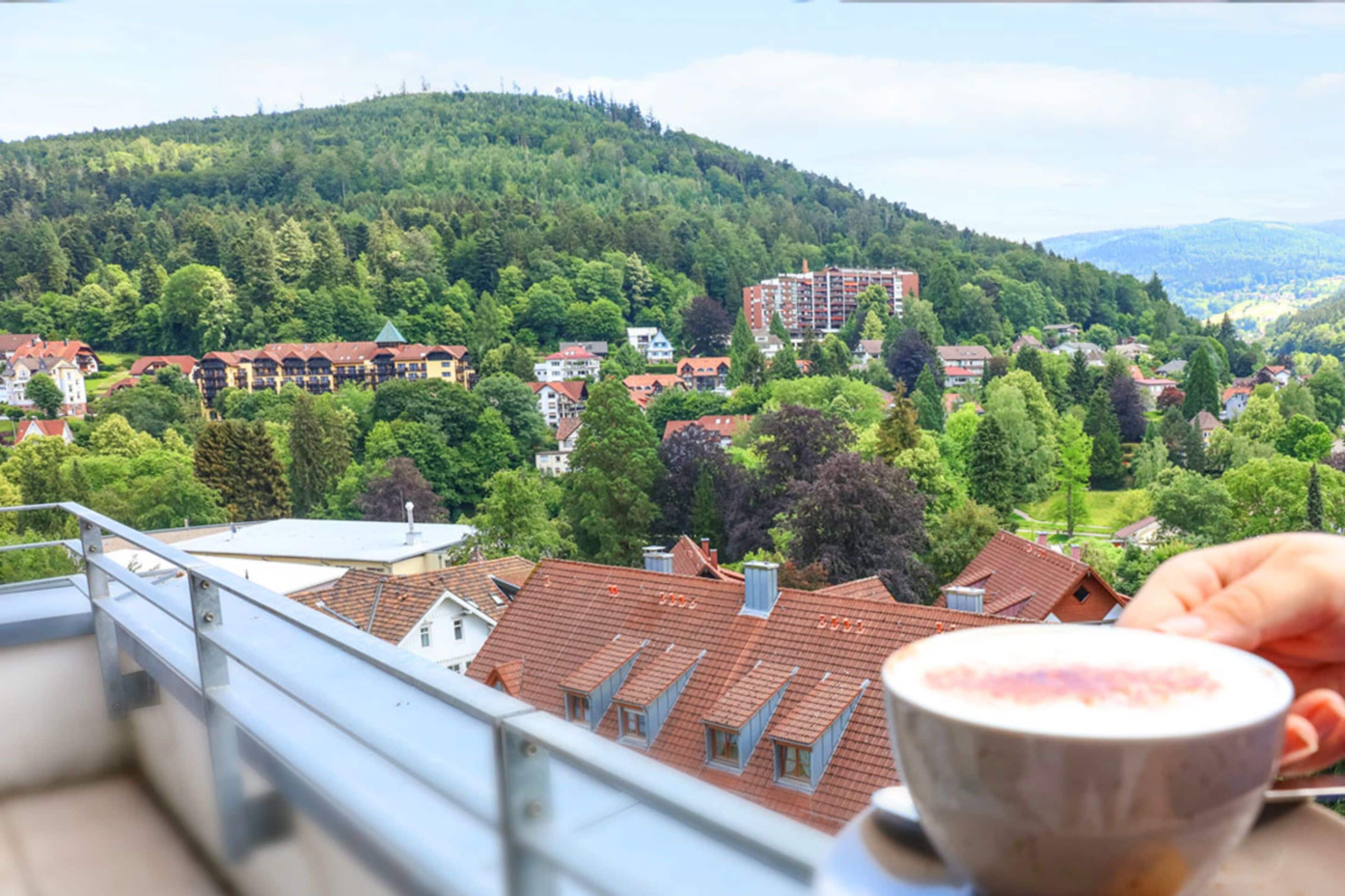 A view of a town with buildings and a hill in the background.