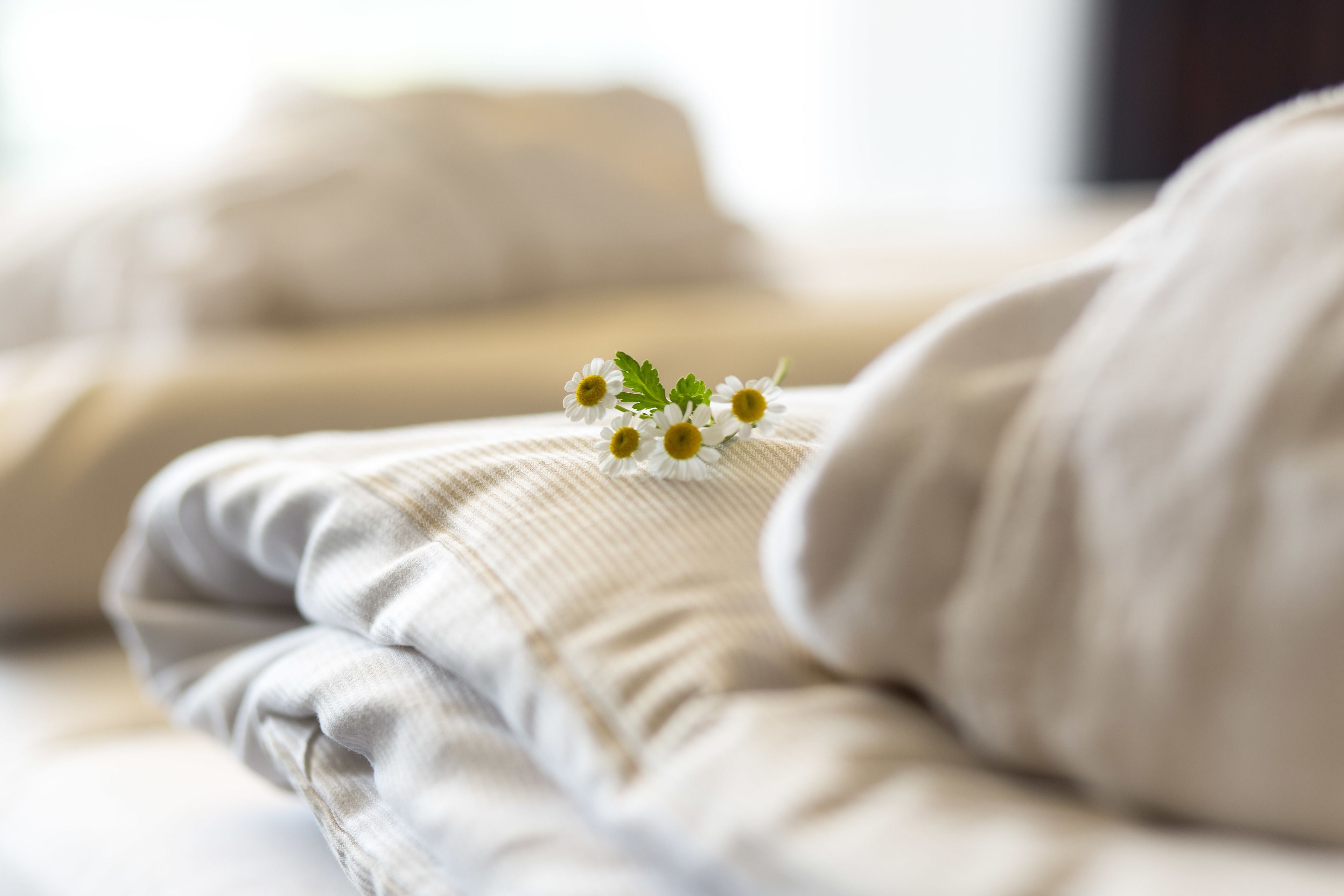 Una cama bien tendida con un edredón blanco y un pequeño grupo de flores blancas sobre la almohada.
