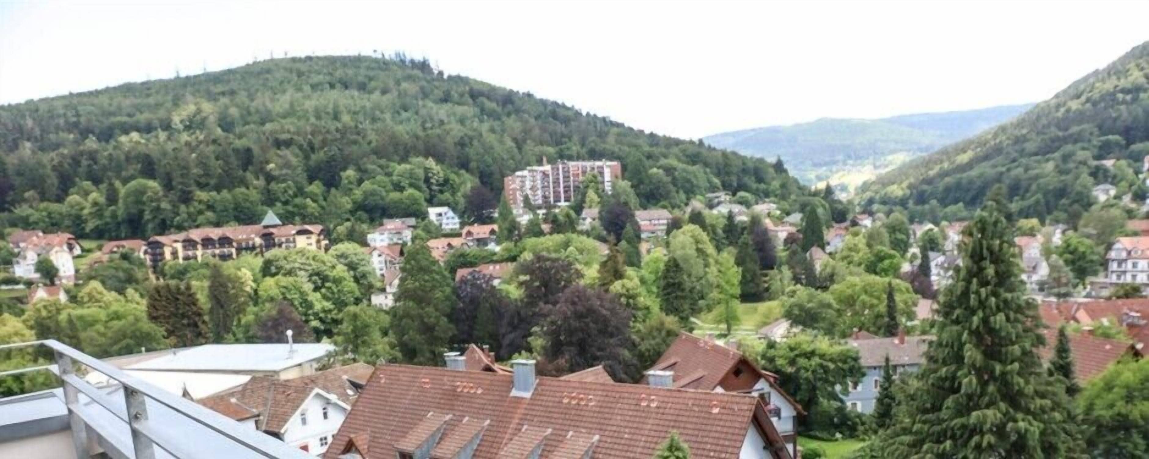 A residential area with houses and a large building on a hillside.