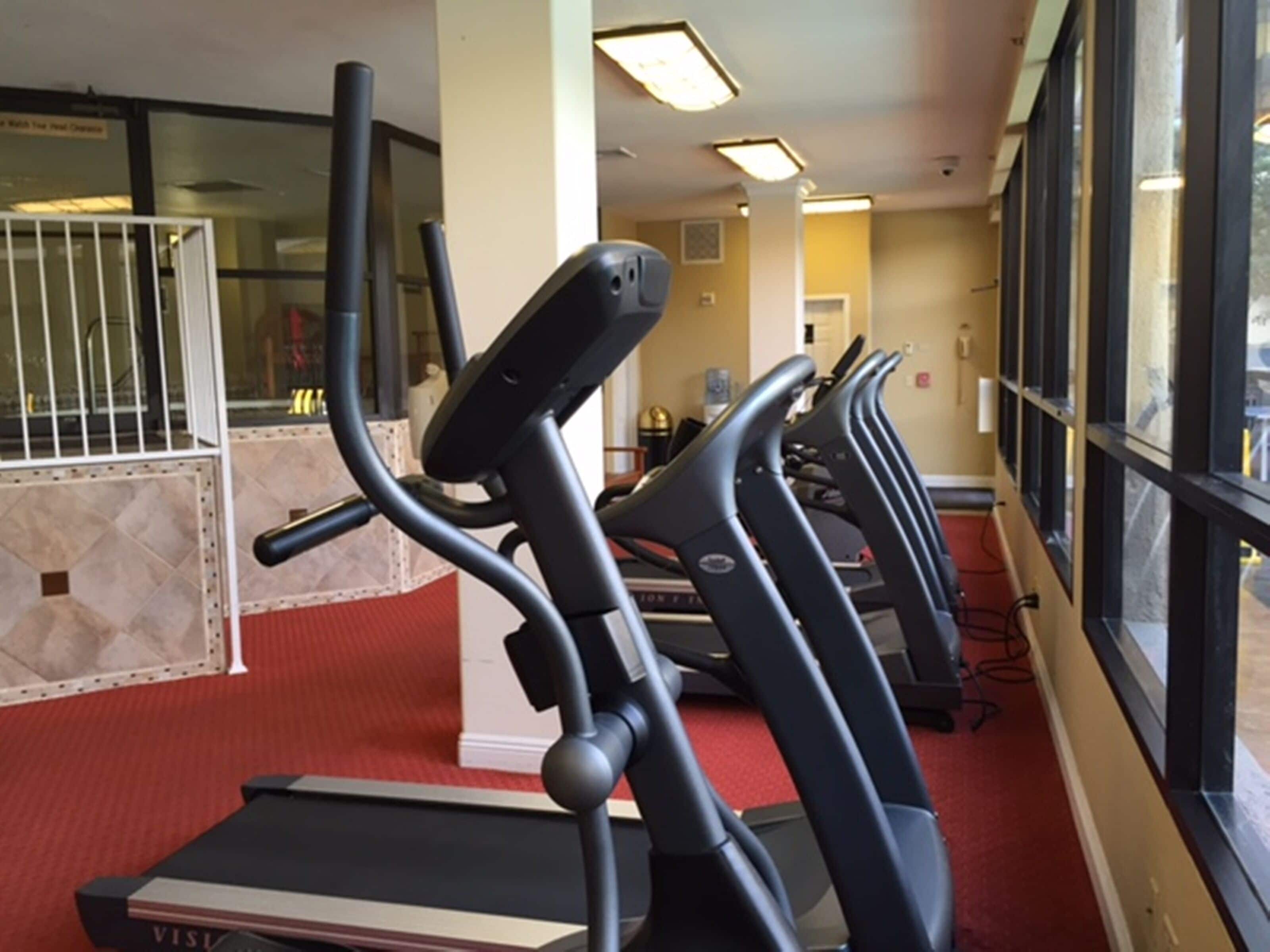 Una fila di tapis roulant in palestra, con pavimento ricoperto di moquette rossa, ampie finestre e una porta bianca sullo sfondo.