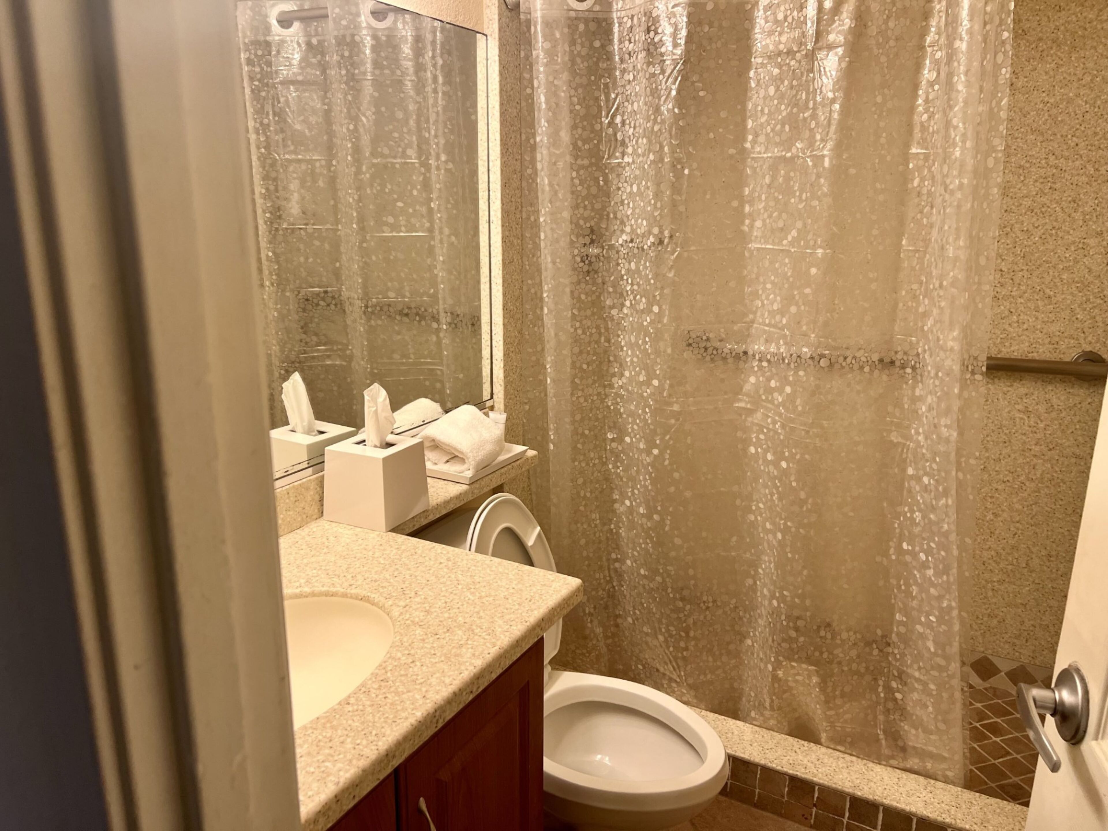 Een badkamer met een wastafel, toilet en douchegordijn.
