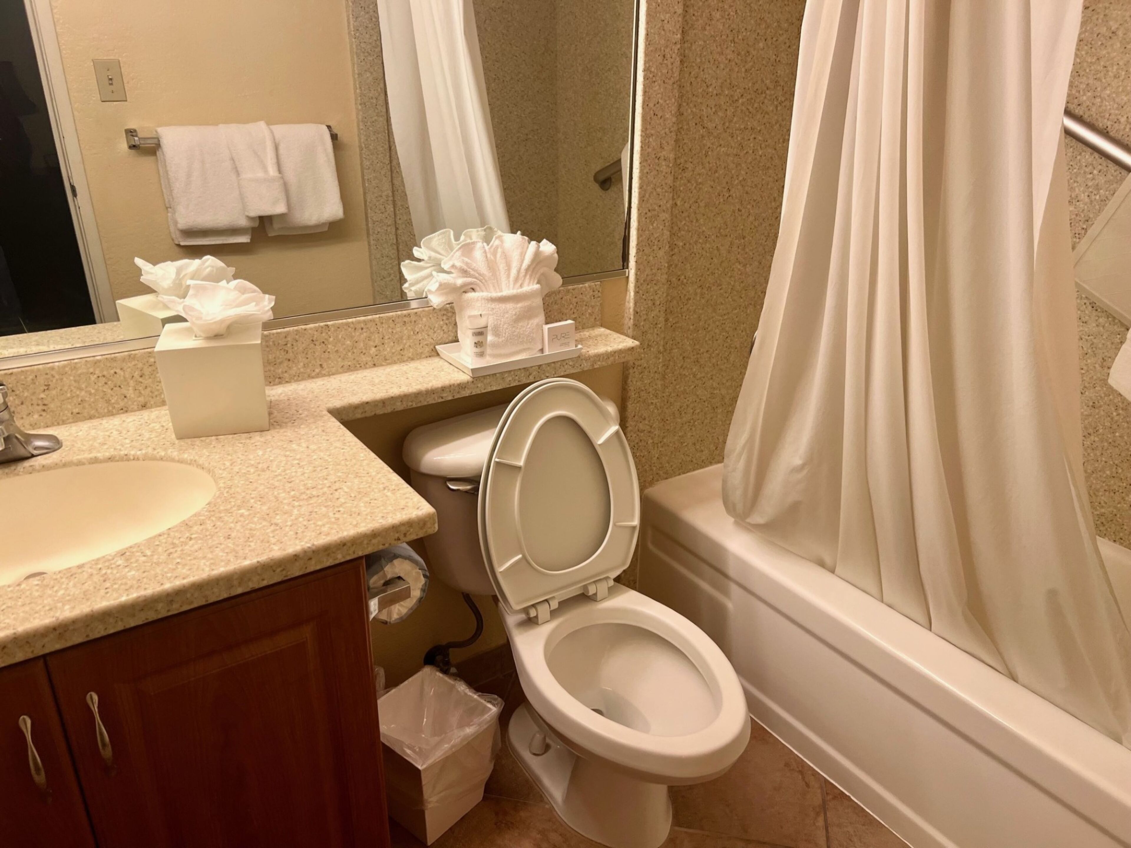 Une salle de bain équipée de toilettes, d’un lavabo et d’un rideau de douche.