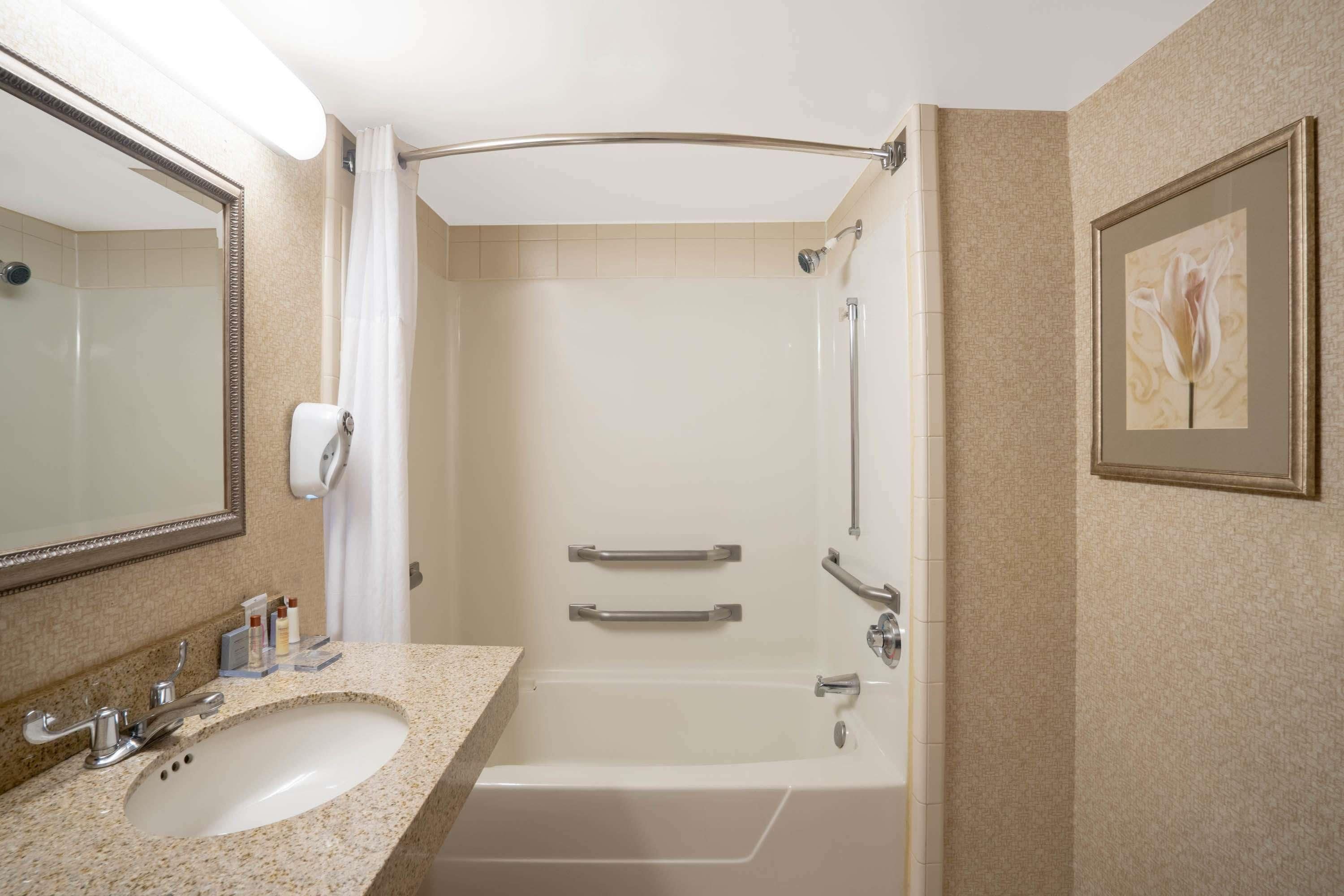 A bathroom with a sink, mirror, shower, and framed artwork on the wall.