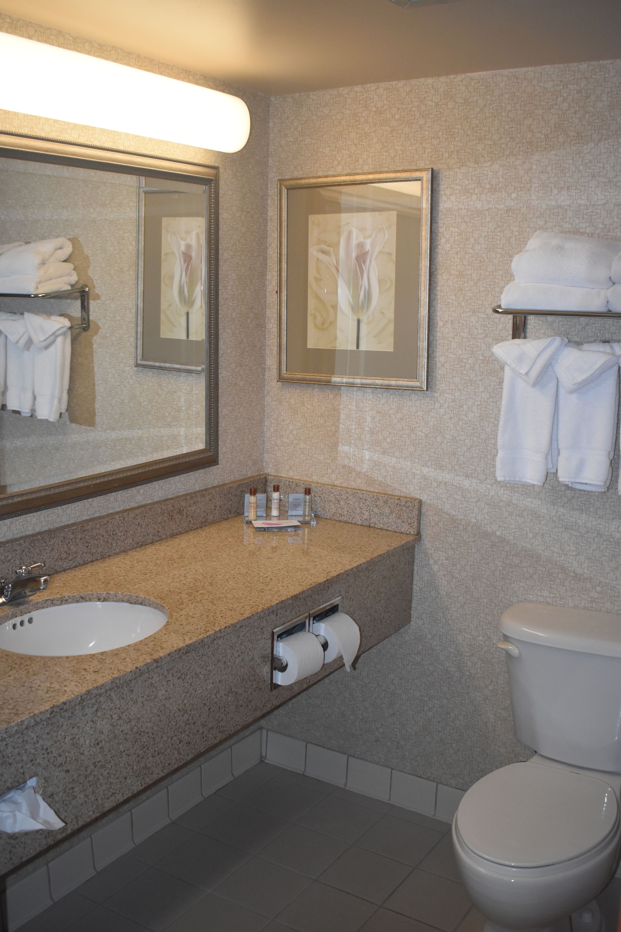 combined shower/bathtub, free toiletries, hair dryer, towels