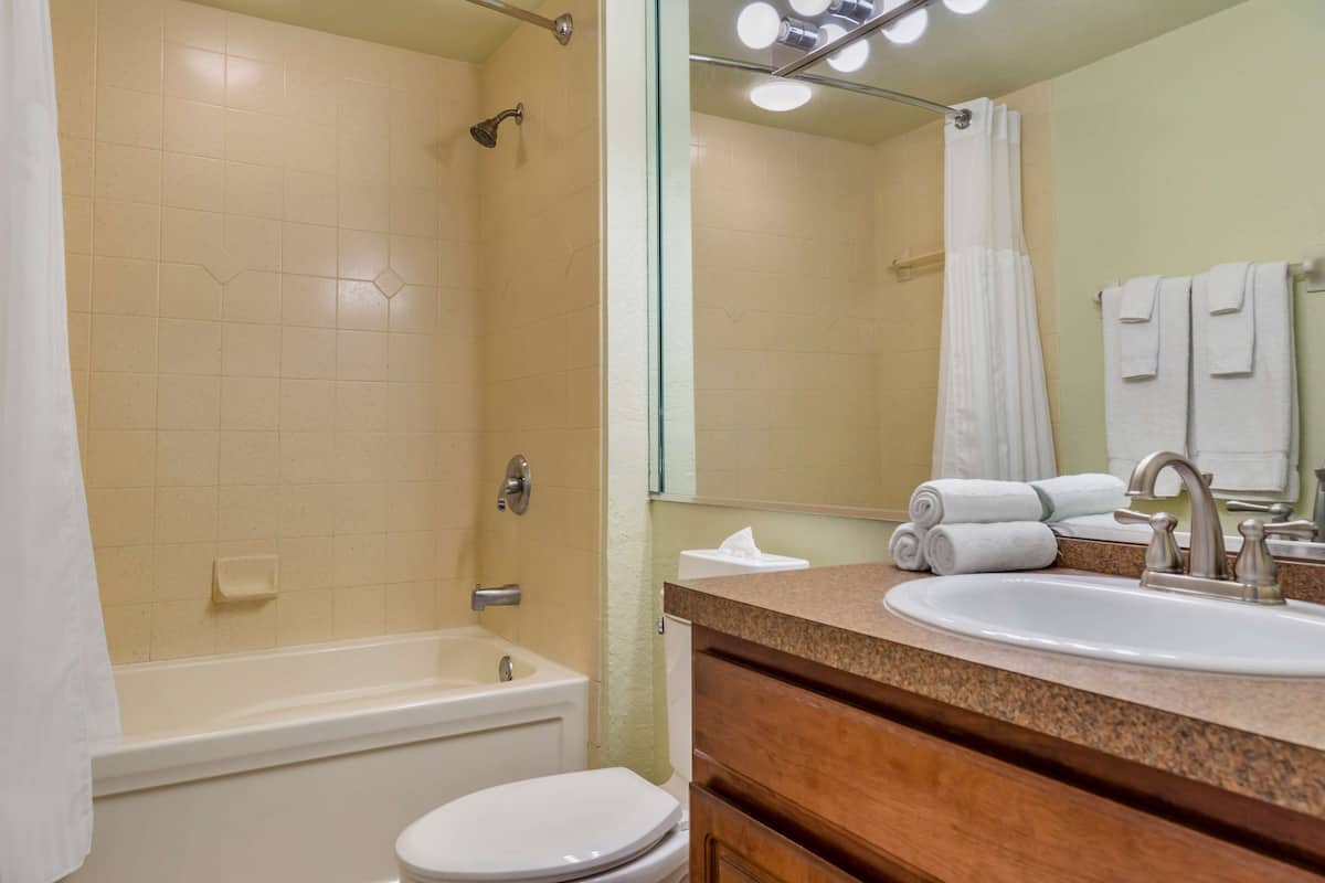 Bathroom | Shower, free toiletries, hair dryer, towels
