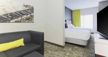 SpringHill Suites by Marriott Austin Parmer/Tech Ridge