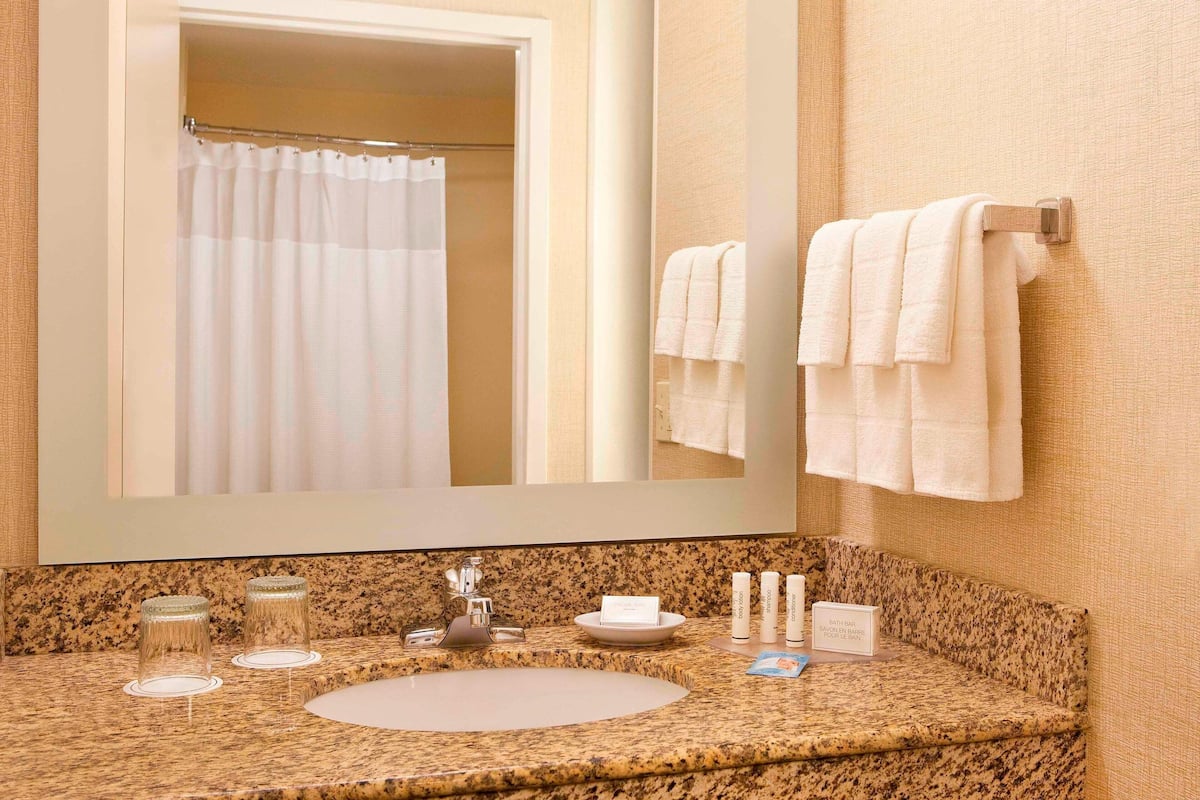 combined shower/bathtub, free toiletries, hair dryer, towels