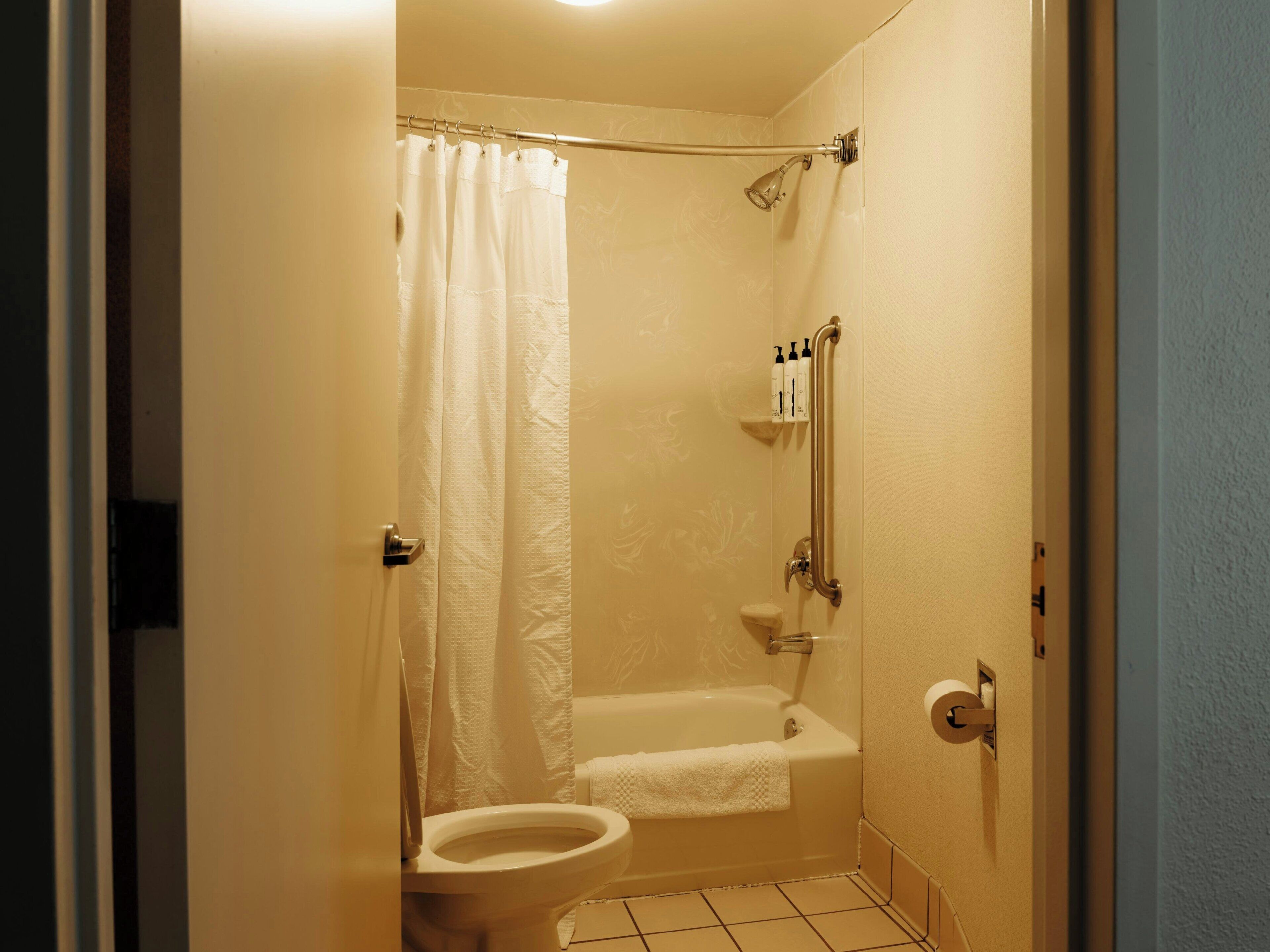 Combined shower/tub, free toiletries, hair dryer, towels