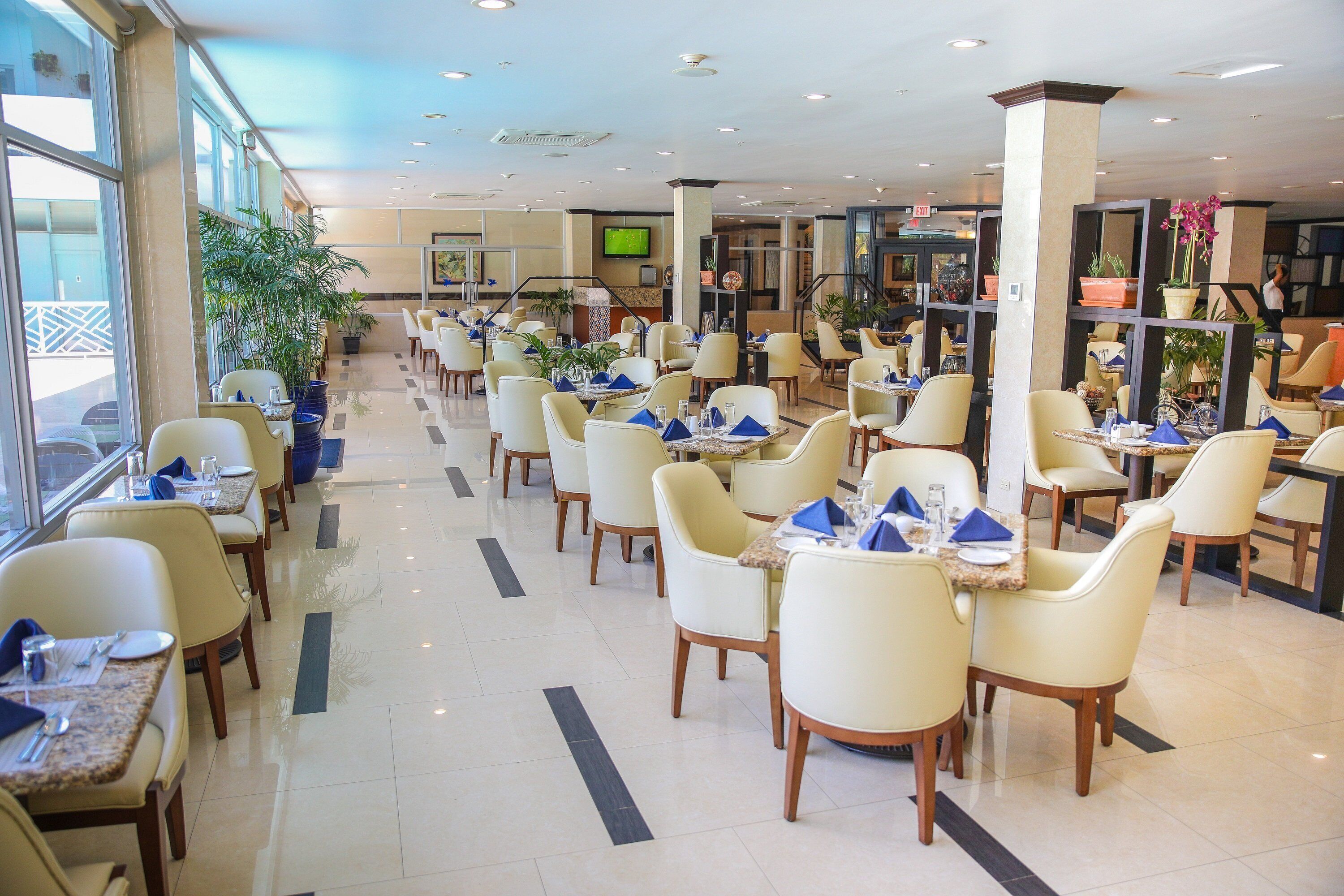 A spacious hotel dining area with multiple tables and chairs, large windows, and potted plants.