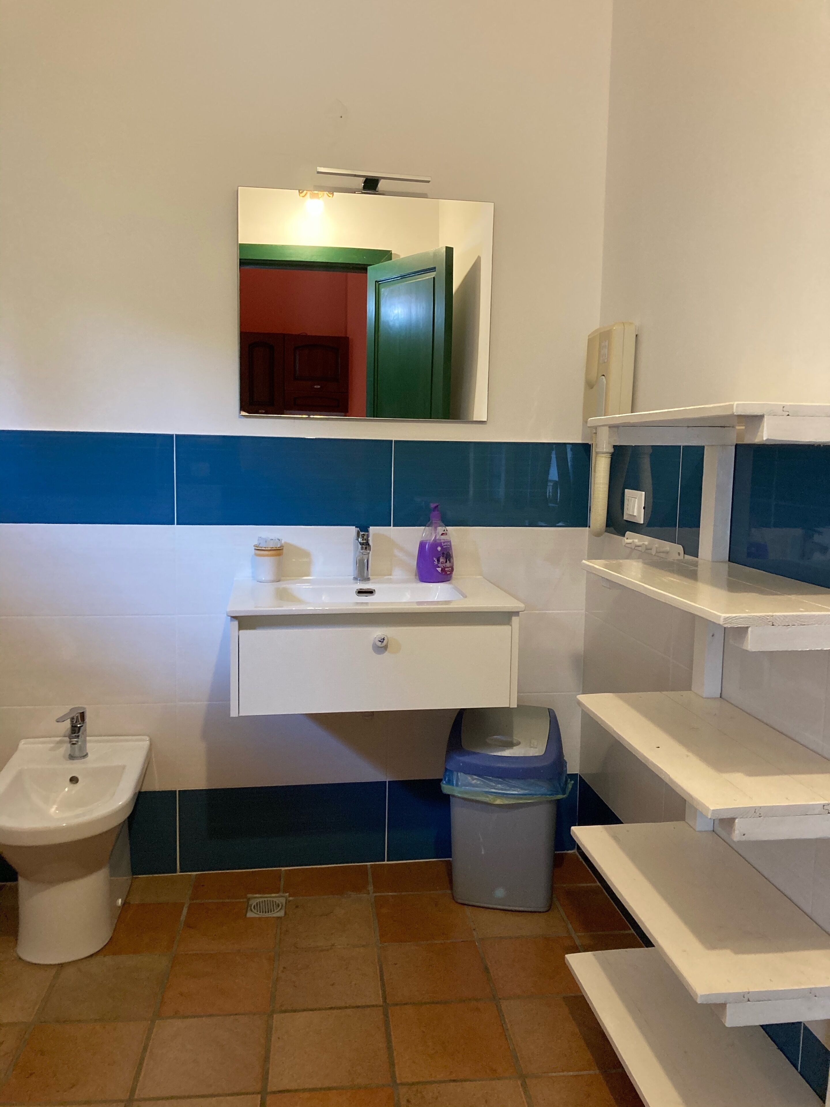 Ein Badezimmer mit einem weißen Waschbecken, einem Spiegel, einem Bidet und einem Papierkorb.