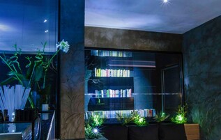 A modern living room with a large bookshelf, a glass coffee table, and a potted plant.