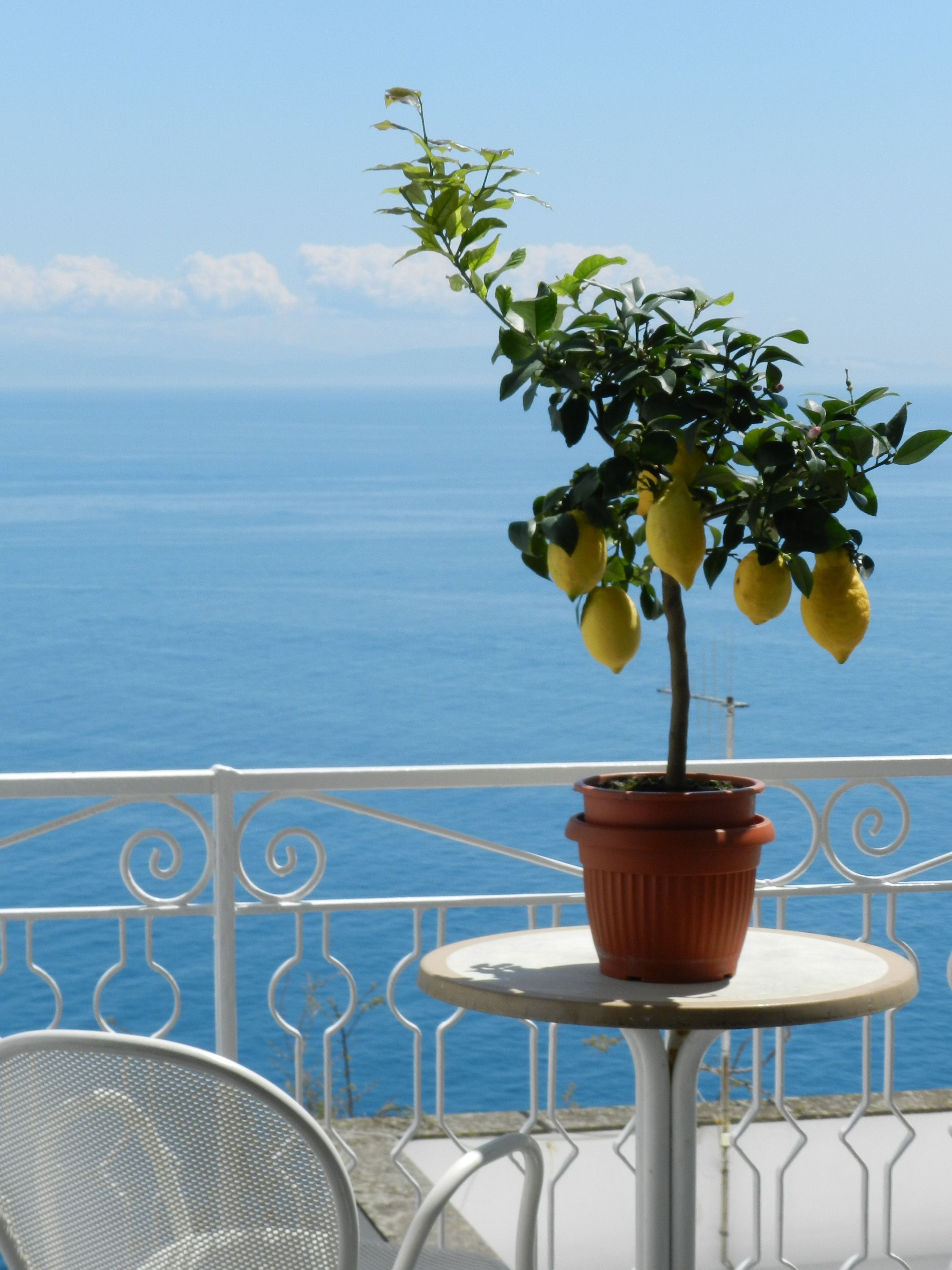 Standard Double Room, Balcony, Sea View | Balcony