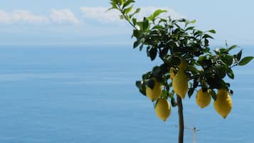 Standard Double Room, Balcony, Sea View | Balcony