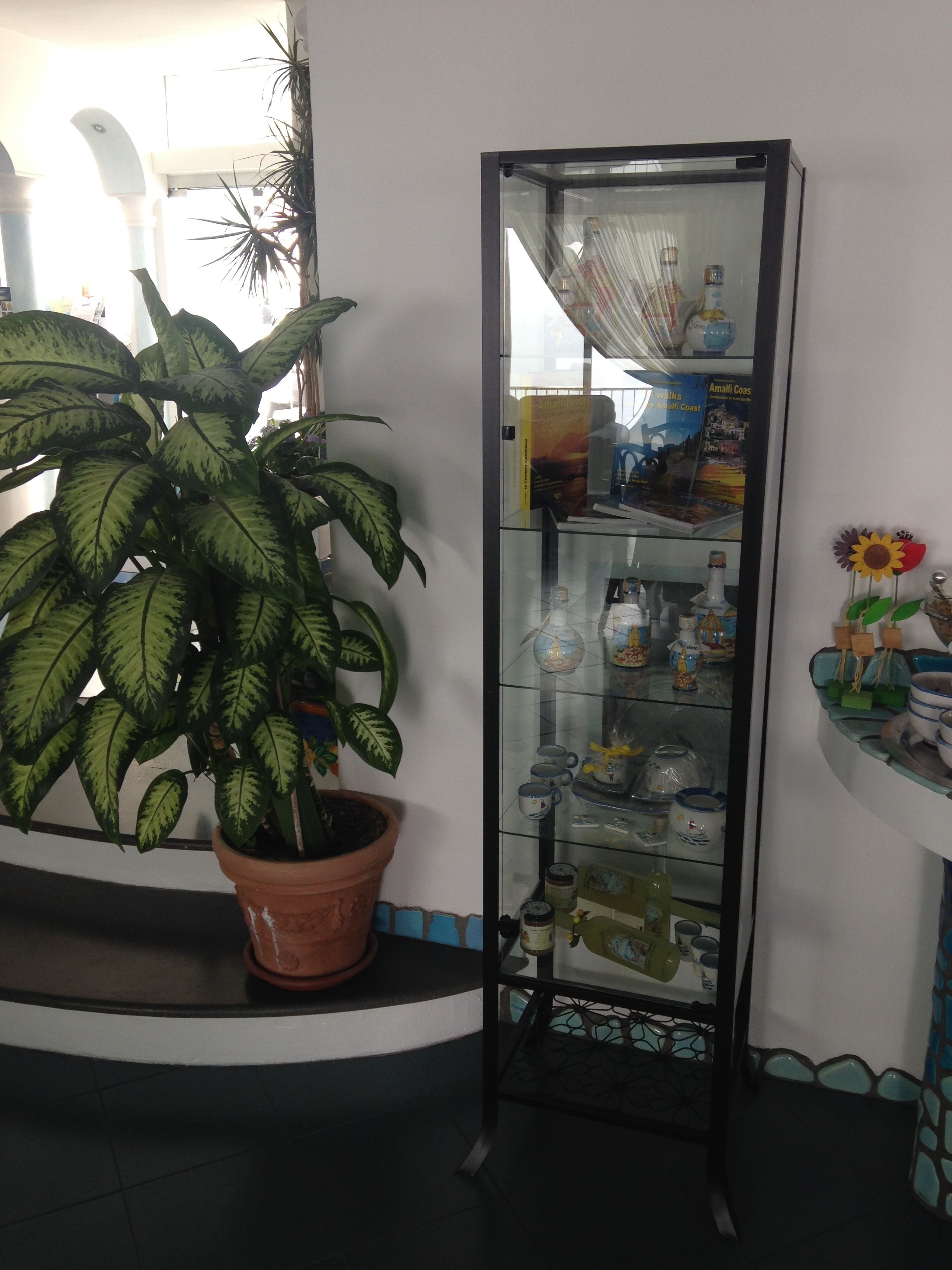 Rincón con una planta en maceta, un aparador de vidrio con libros y objetos decorativos, y un suelo de baldosas.
