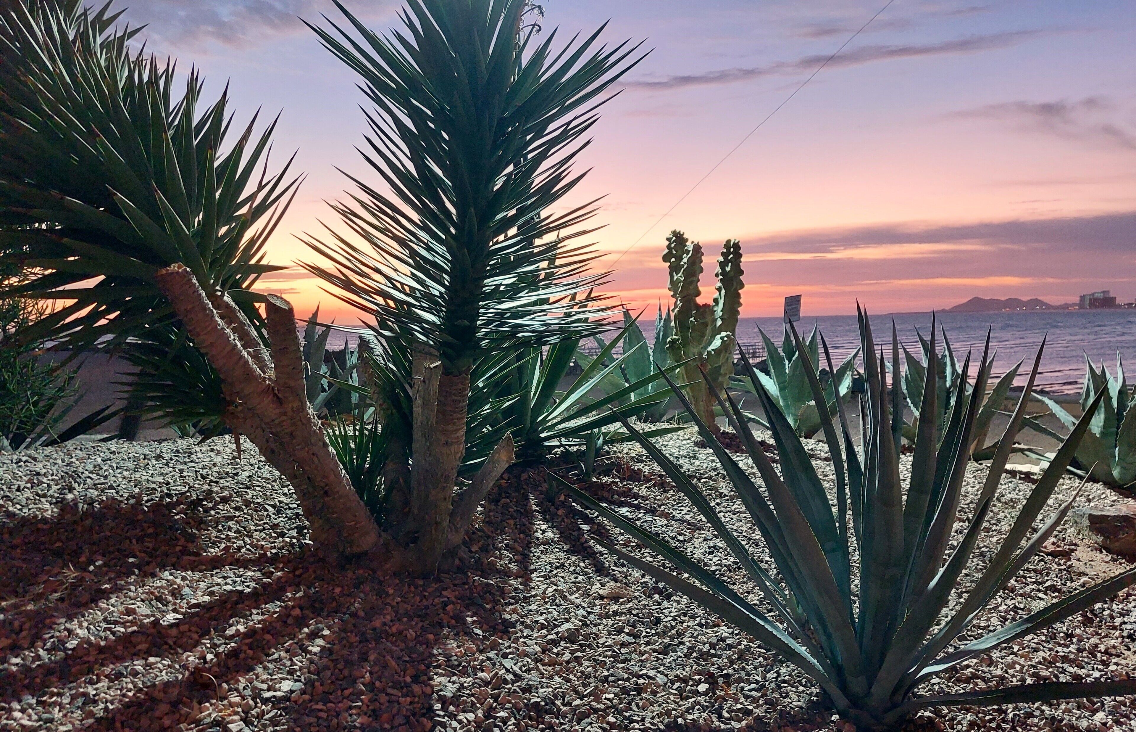 Photo - Peñasco del Sol