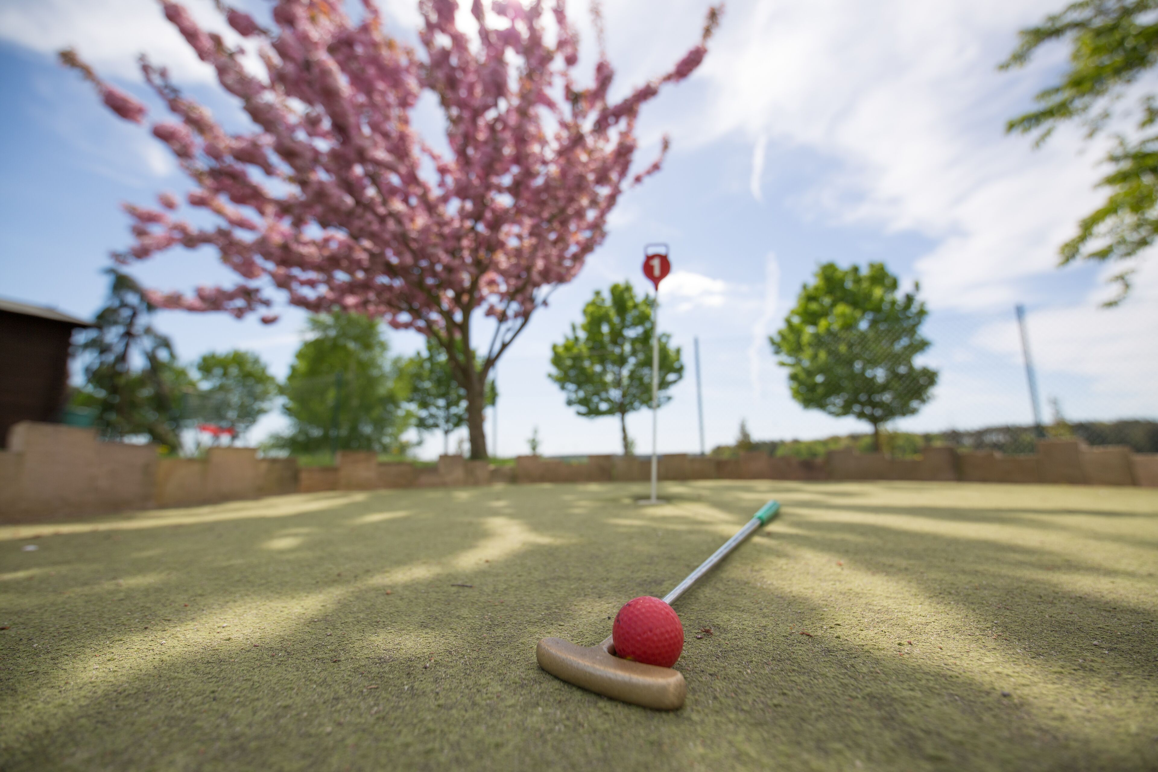 Golf mini
