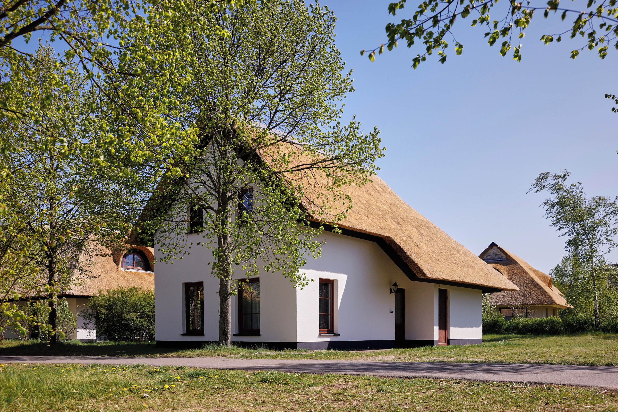 A white building with a thatched roof, surrounded by greenery.