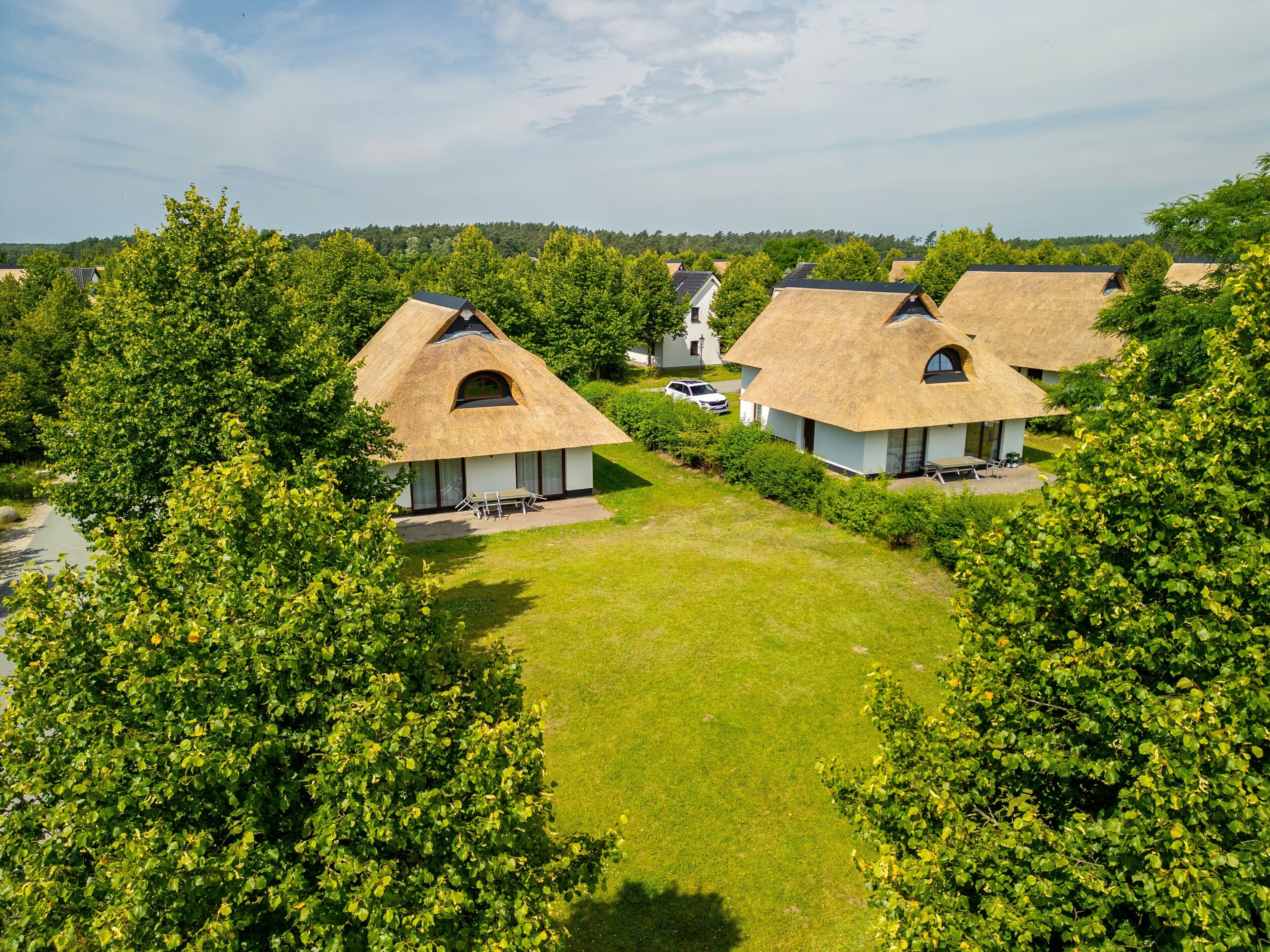 A residential area with thatched-roof houses, a grassy lawn, and a body of water in the background.