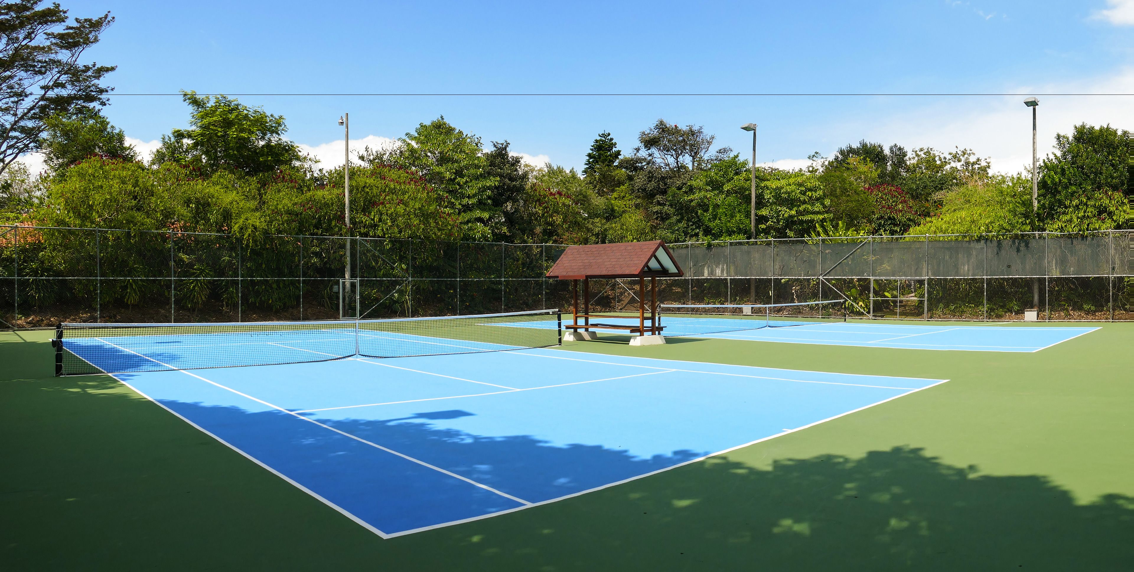 A tennis court with a net, surrounded by a fence and trees.