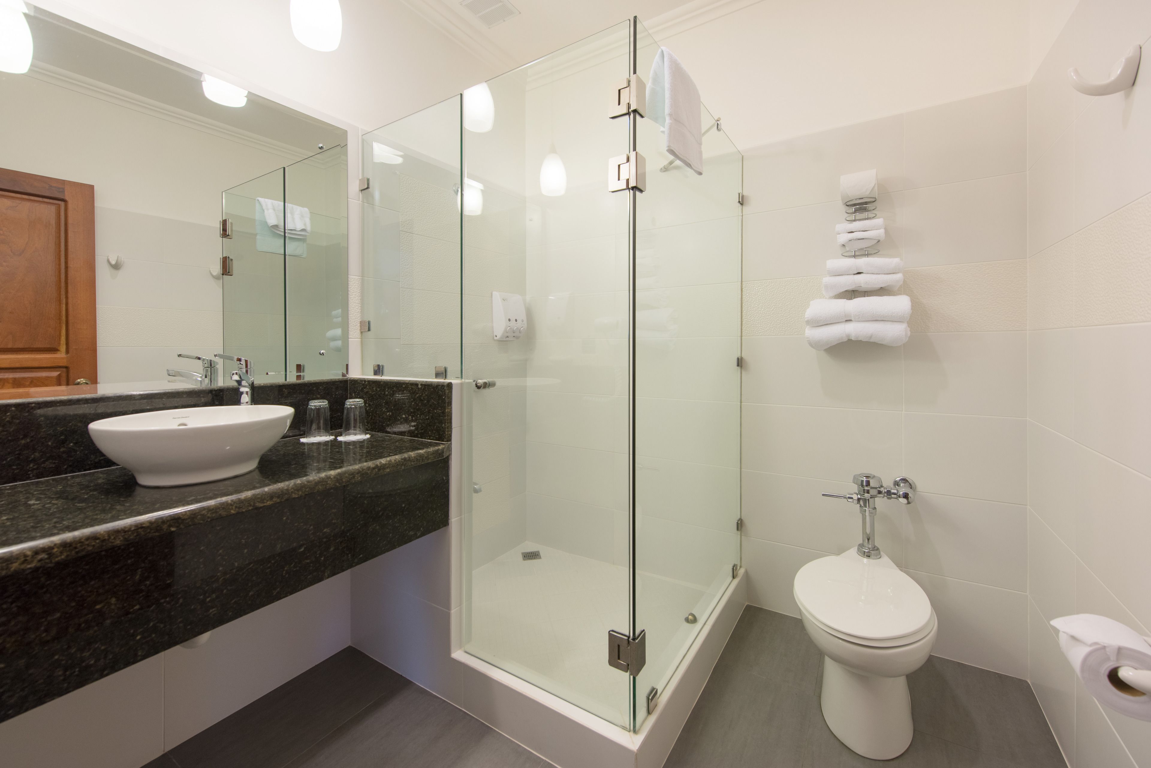 A modern bathroom with a glass-enclosed shower, a white sink, and a toilet.