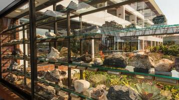 Una vetrina con diversi tipi di rocce e minerali in un museo, con teche di vetro ed etichette esplicative.