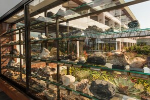 A display of various rocks and minerals in a museum setting with glass cases and labels.