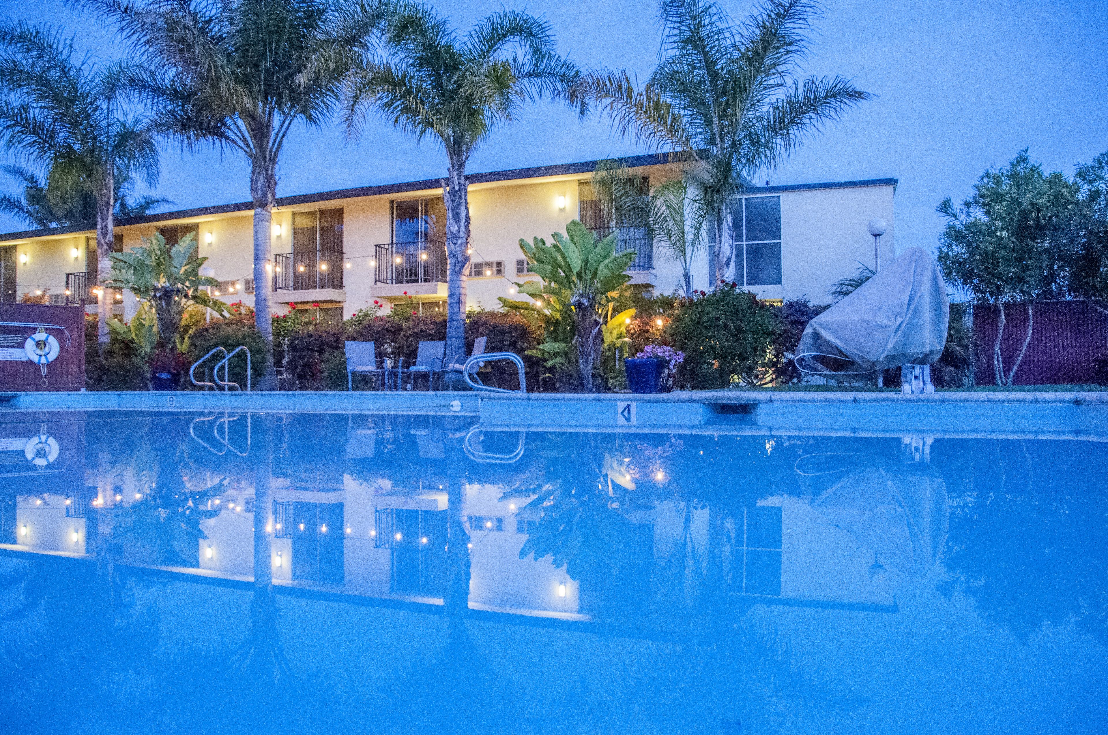 A hotel with a pool, palm trees, and a well-lit exterior.