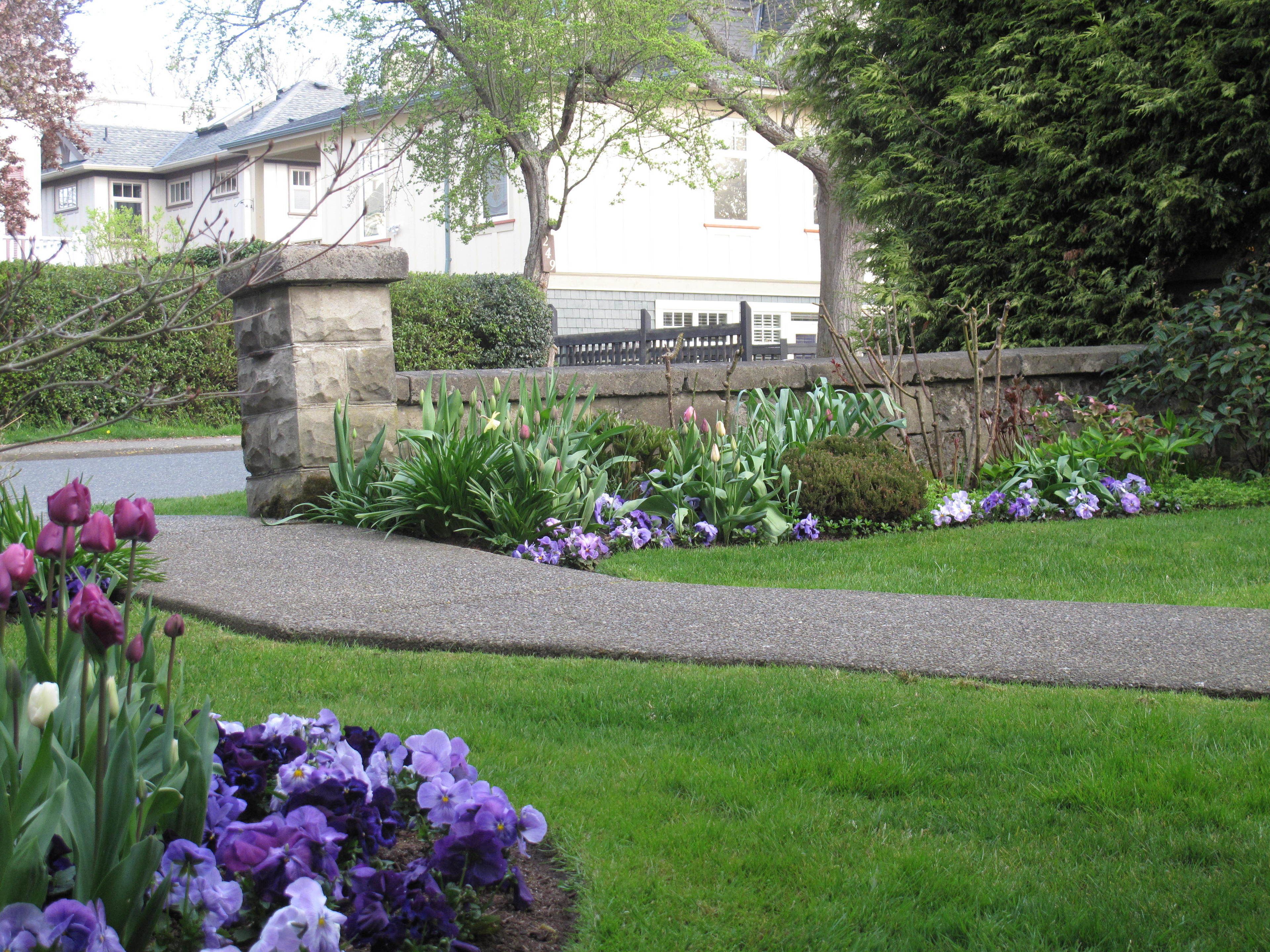Foto - James Bay Inn Hotel & Suites
