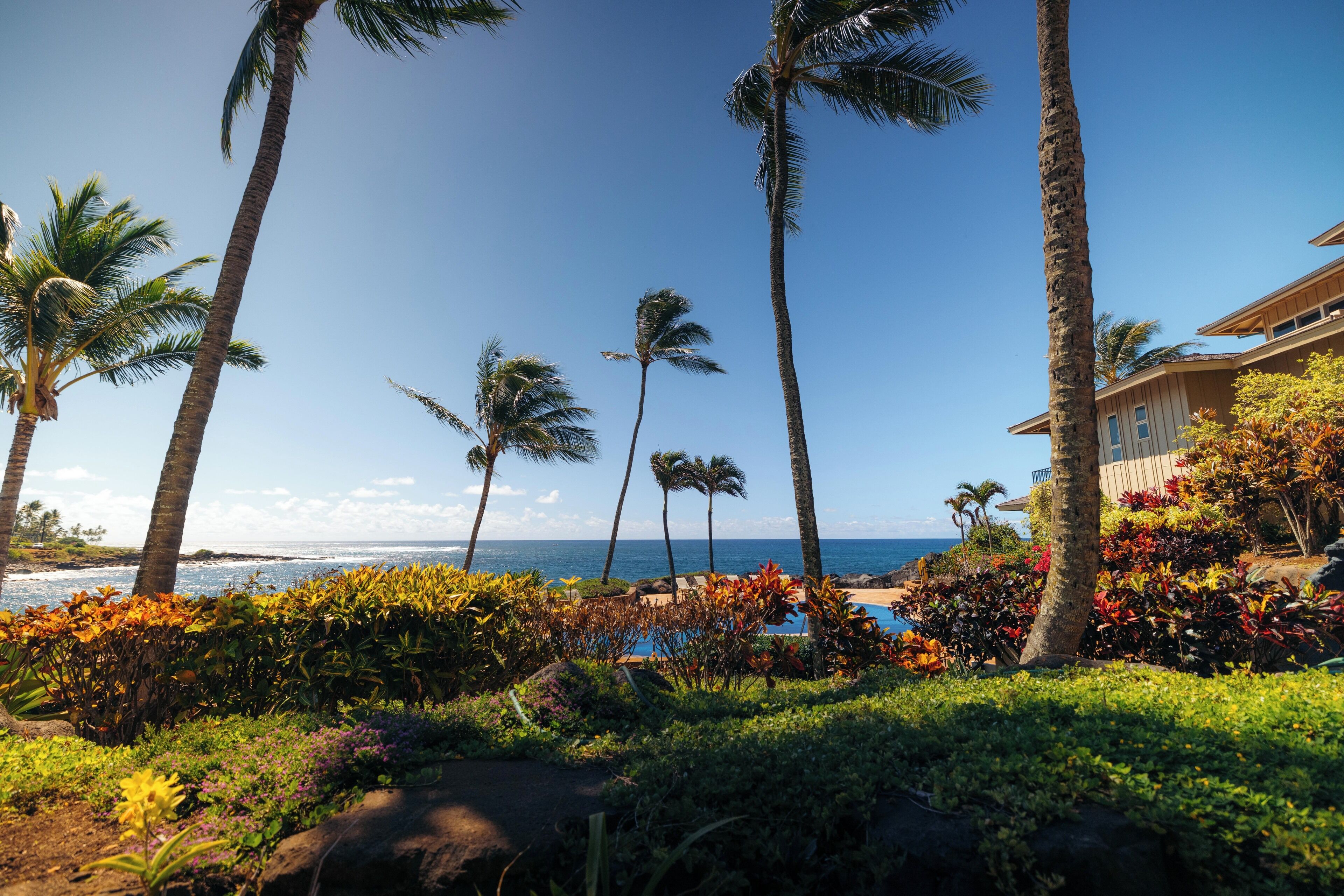 A tropical resort with palm trees, a beach, and a pool.