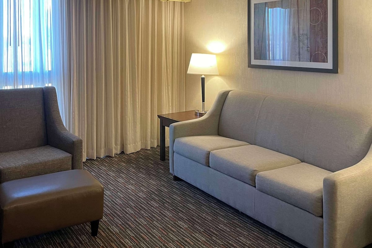 Suite, 1 King Bed, Non Smoking | Desk, iron/ironing board, free cribs/infant beds, rollaway beds