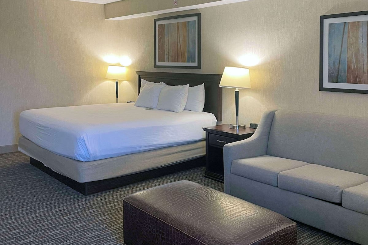 Standard Room, 1 King Bed, Non Smoking (Larger Room) | Desk, iron/ironing board, free cribs/infant beds, rollaway beds