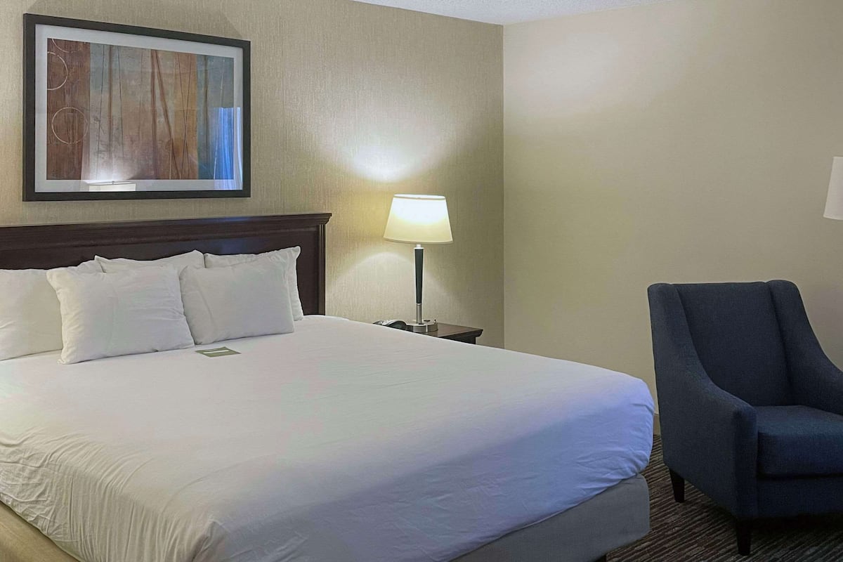 A hotel room with a large bed, a nightstand with a lamp, a chair, and a framed picture on the wall.