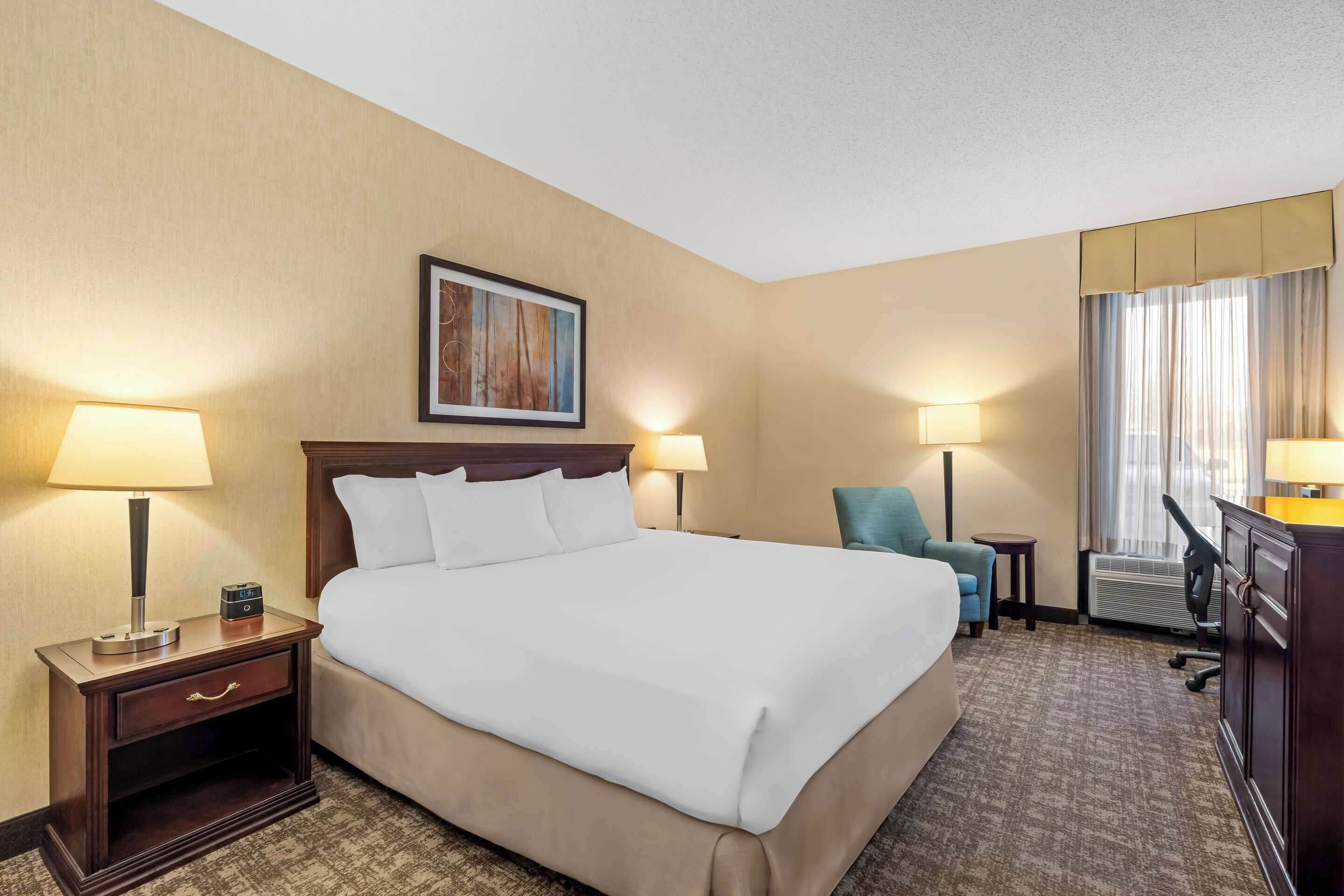 Kamar, 1 Tempat Tidur King, akses difabel, Bebas Asap Rokok (Roll-In Shower) | Meja kerja, setrika/meja setrika, dan tempat tidur bayi gratis