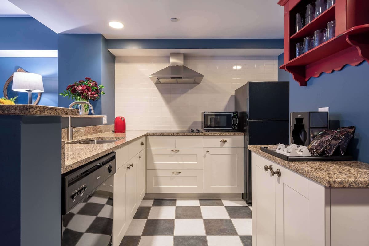 luxury 1 bedroom suite, 1 king bed with sofa bed | private kitchenette | coffee/tea maker, electric kettle