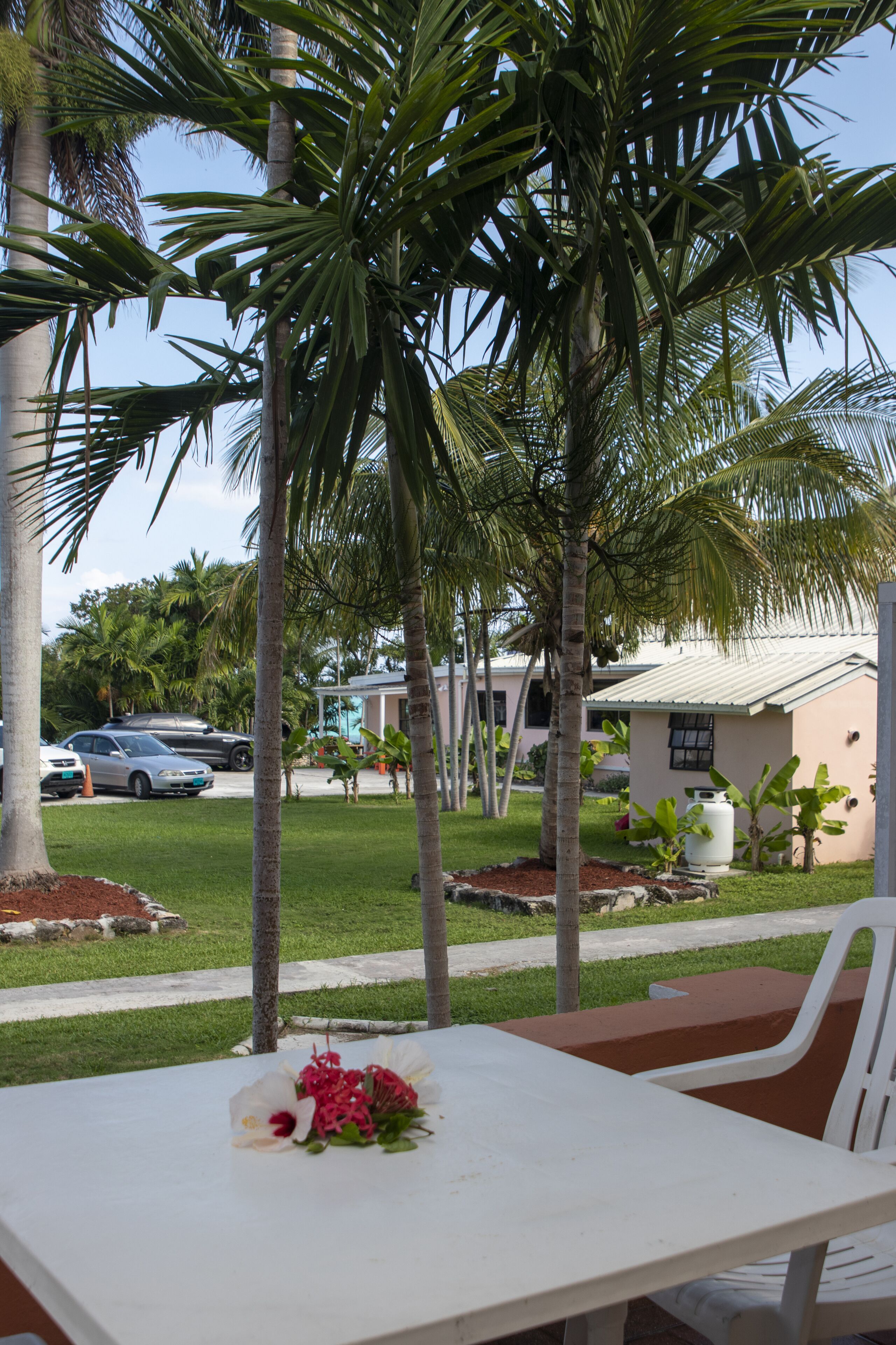 Un patio con una mesa y sillas blancas, rodeado de palmeras y un edificio con techo verde.