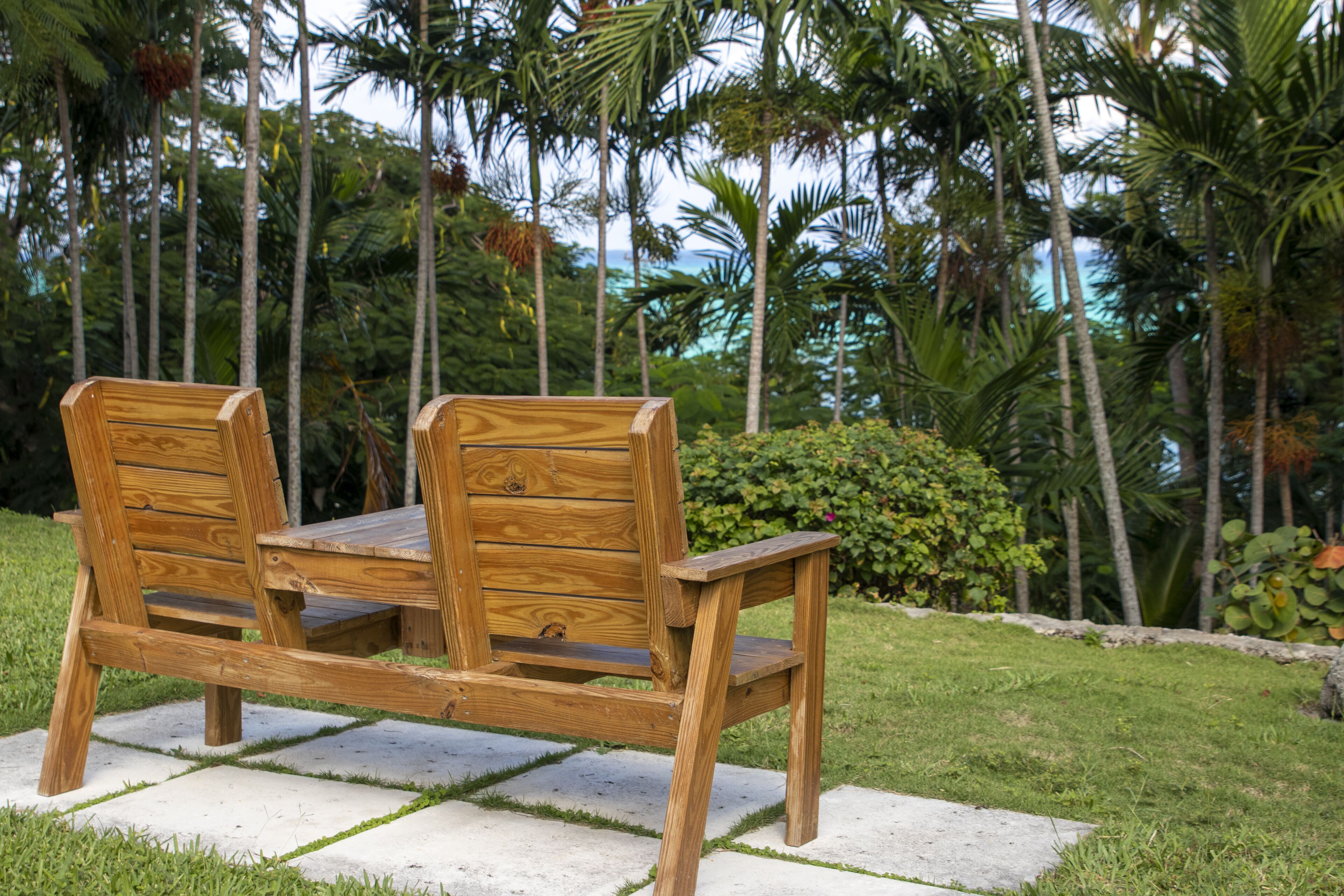 A wooden bench with a table in a garden with palm trees and a view of the ocean.