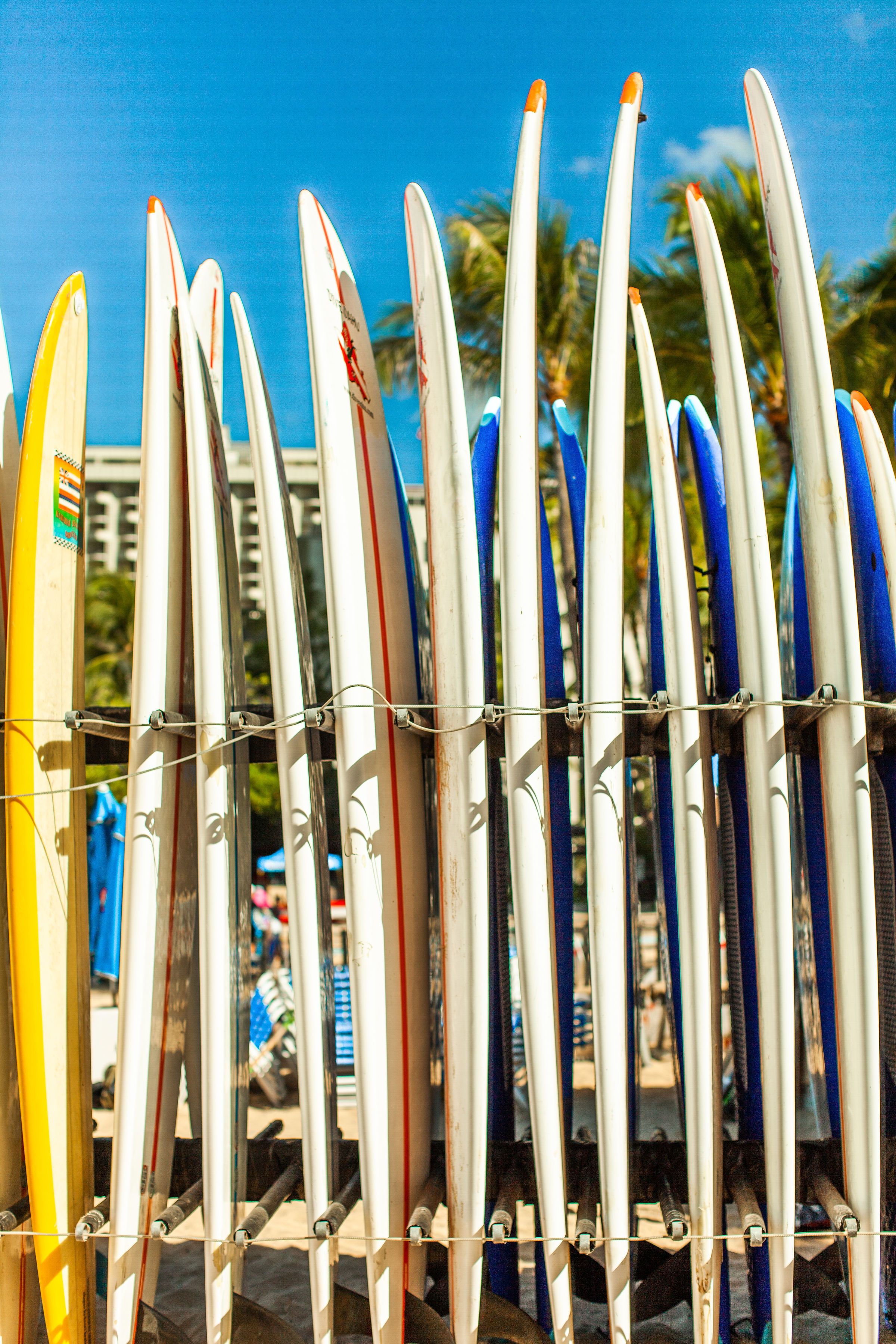 A row of surfboards leaning against a metal rack.
