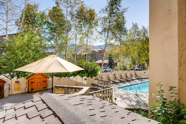 Outdoor pool, pool umbrellas, pool loungers
