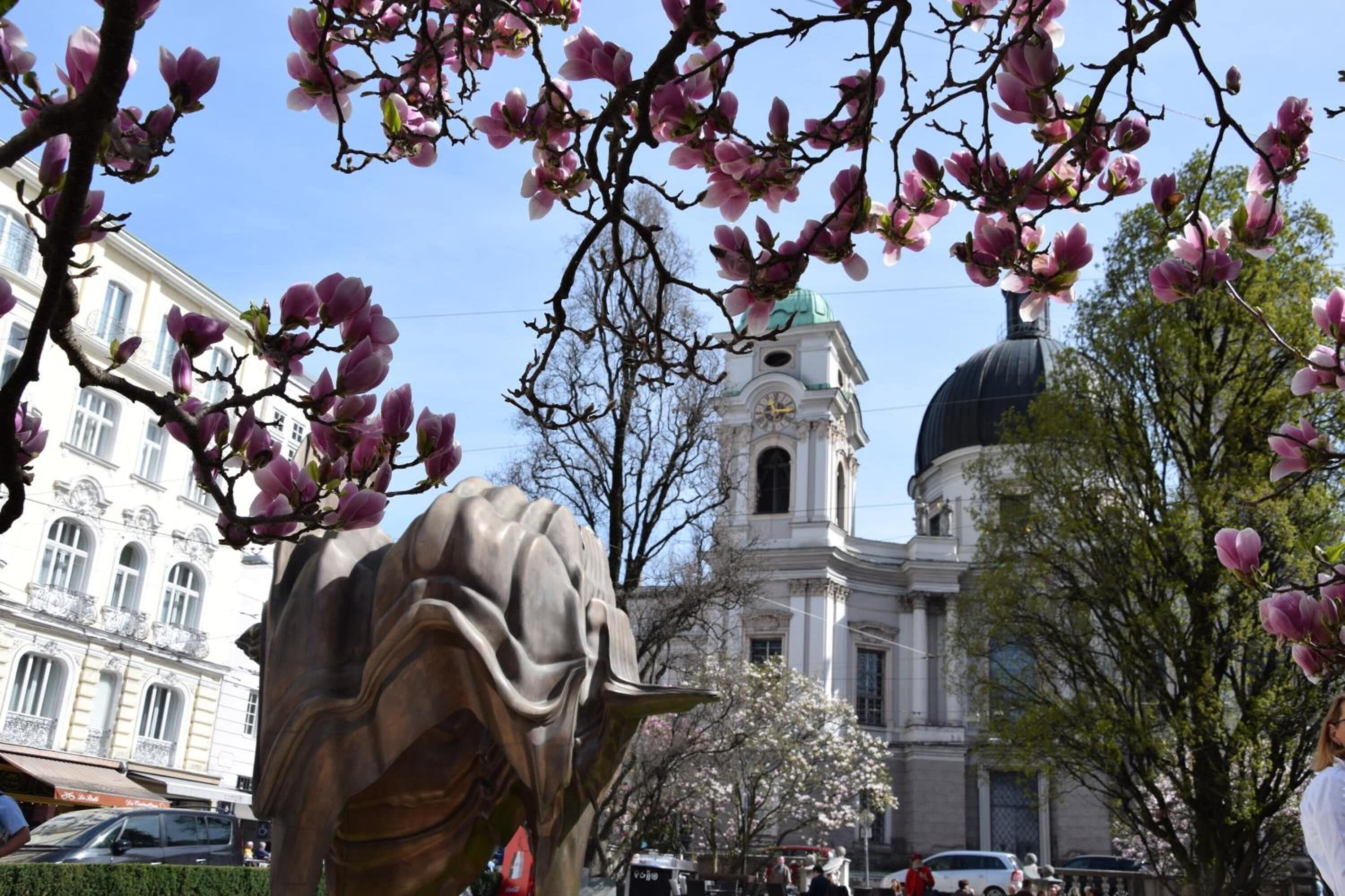 Foto - Atel Hotel Lasserhof