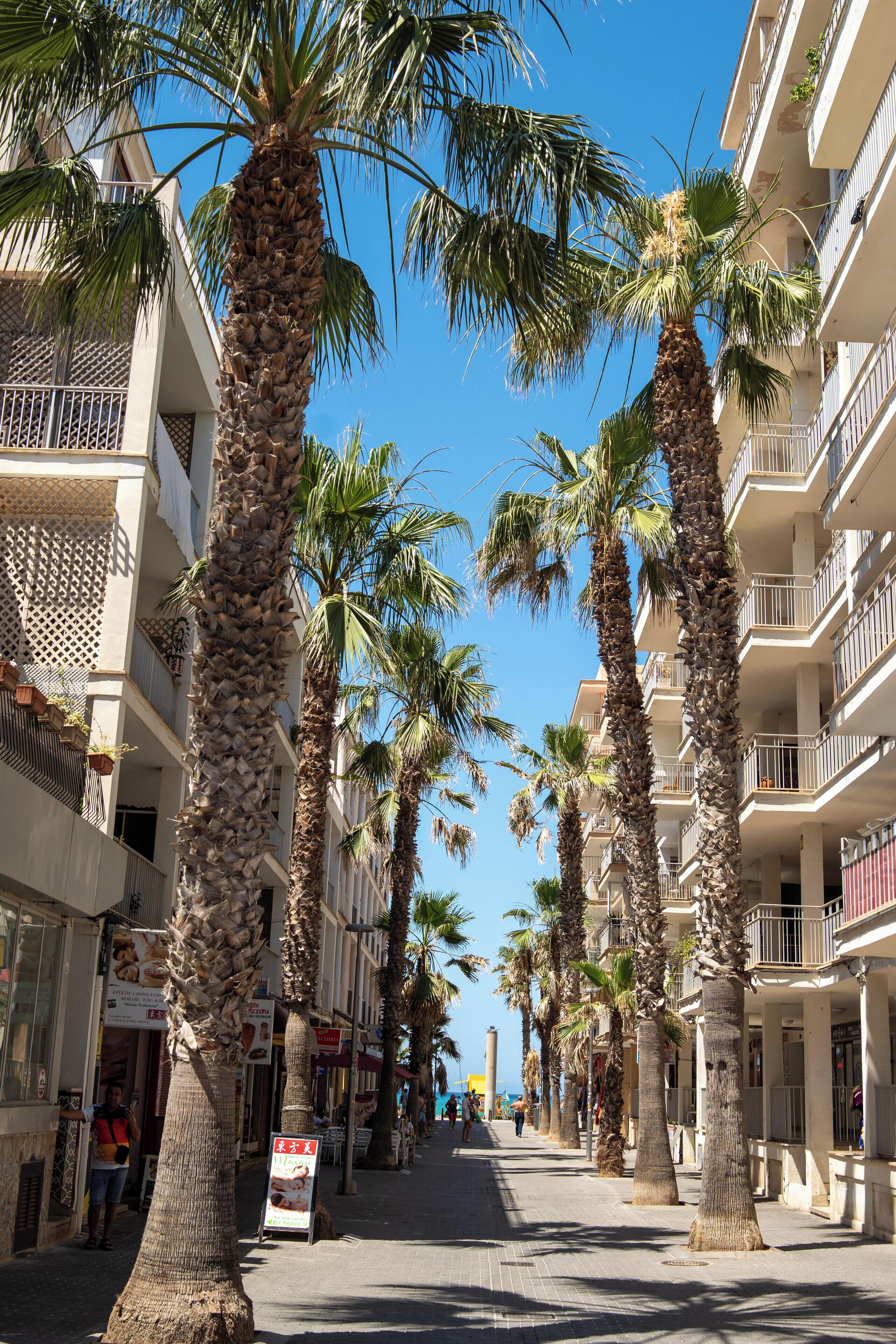 Photo - Planet Hotels ONE - Adults Only 16 years