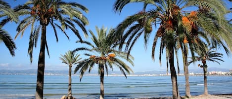 Una spiaggia nelle vicinanze