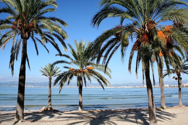 In Strandnähe