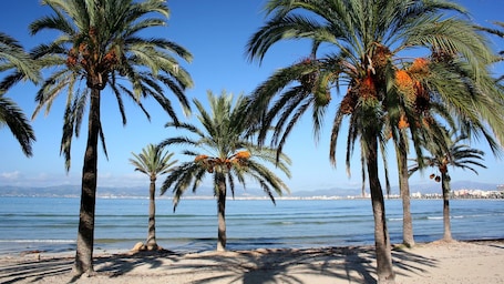 Una playa cerca