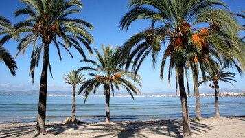 Una playa cerca