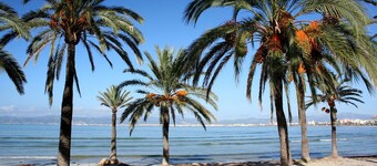 Planet Hotels One Adults Only +16