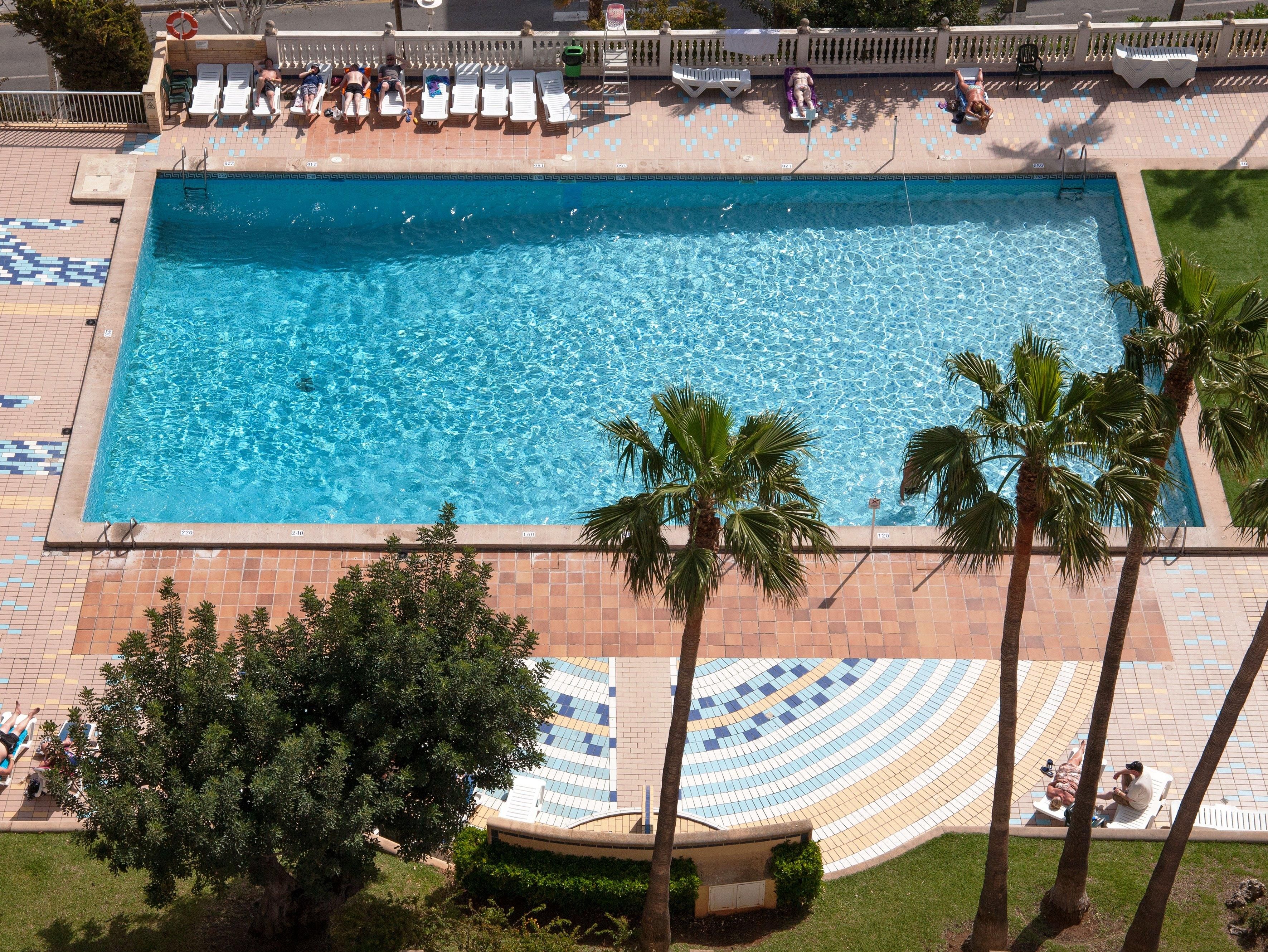 A rectangular swimming pool with clear blue water, surrounded by lounge chairs and palm trees.