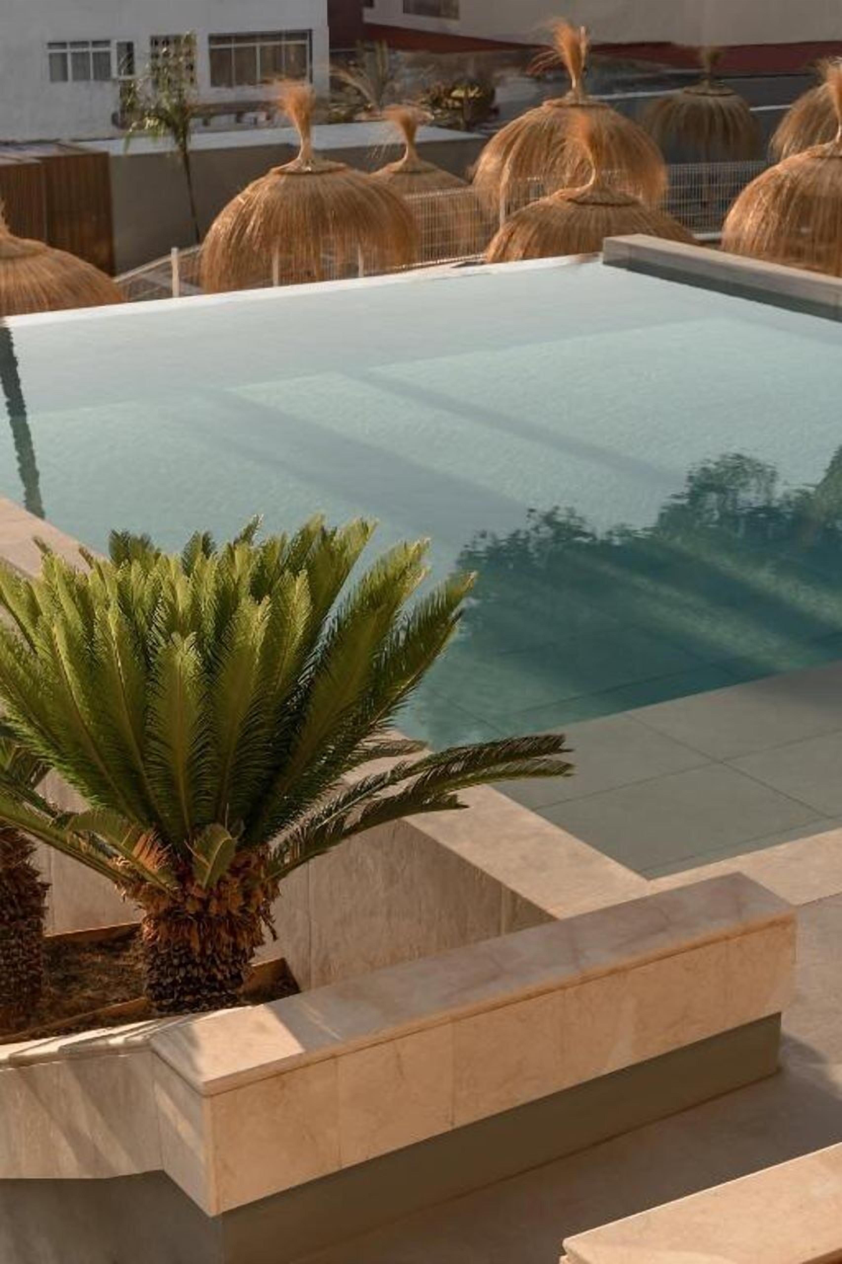 Ein Swimmingpool mit einer Palme im Vordergrund, umgeben von moderner Architektur.