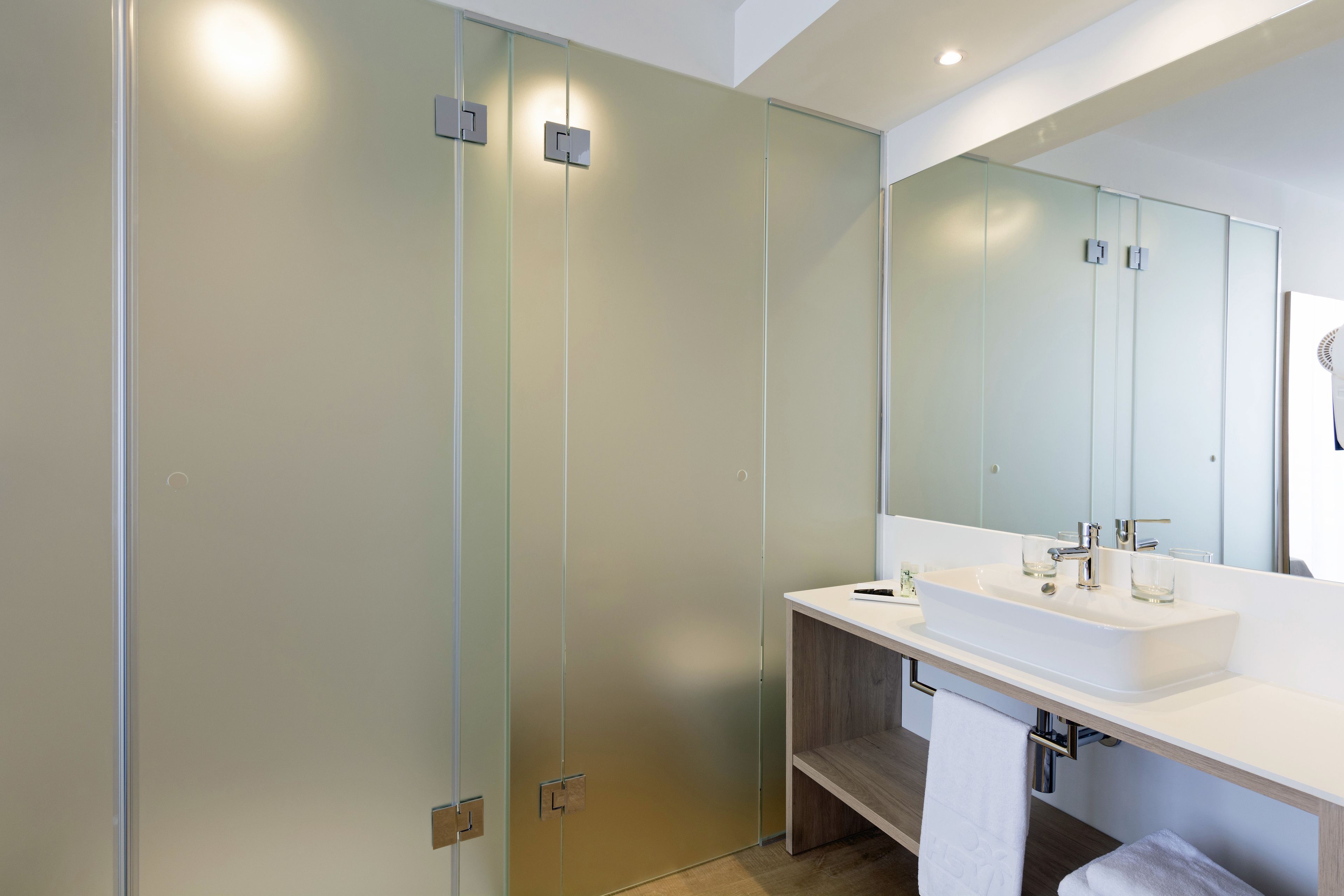 A modern bathroom with a glass shower enclosure, a white sink, and a large mirror.